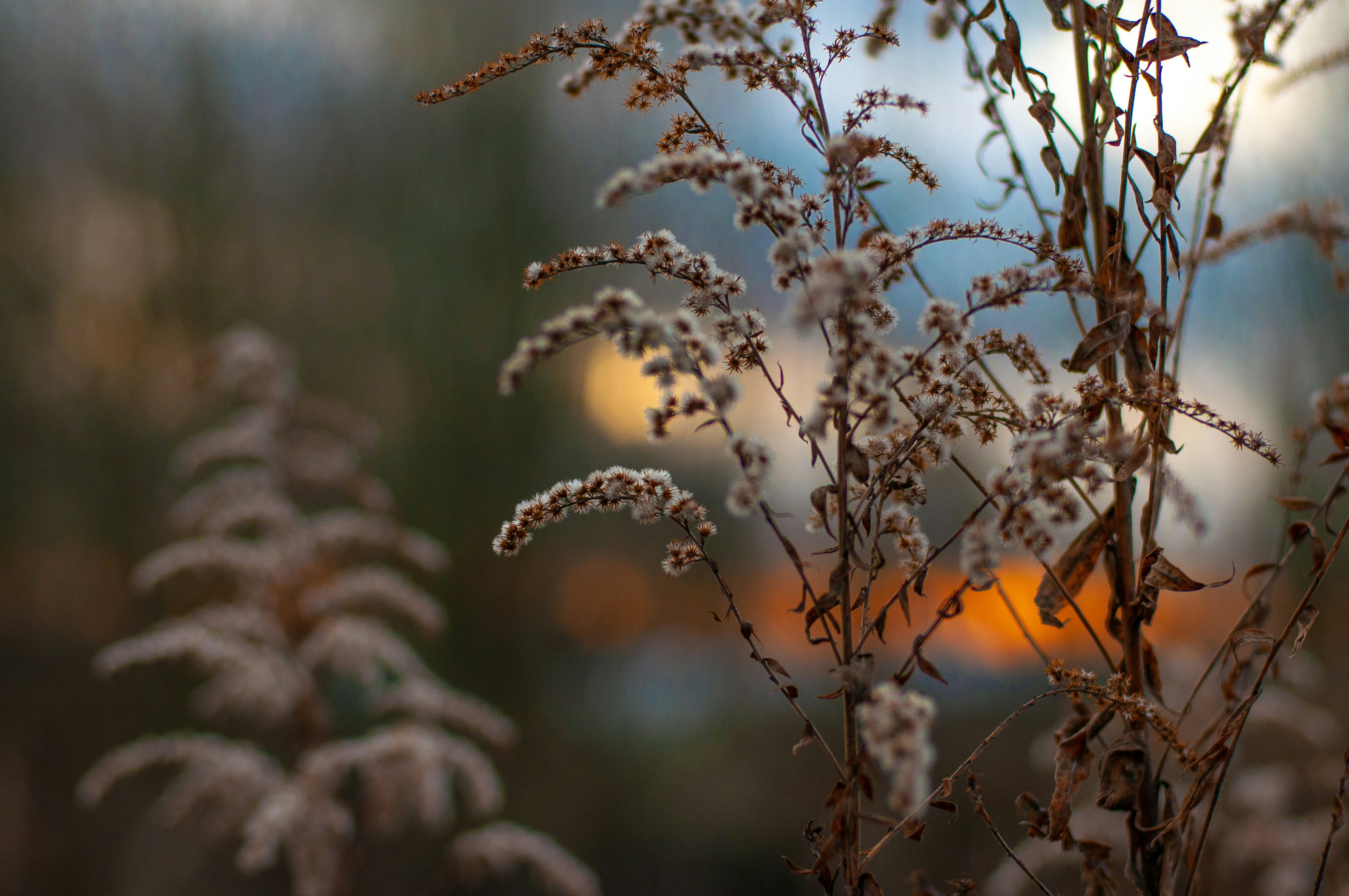 Photo by nataliaraylenegusakova