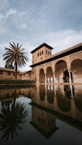 a building with a tower and a palm tree in front of it