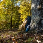 A vibrant trail running backpack hanging from a tree branch in a forest
