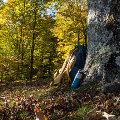 A rugged outdoor backpack resting against a tree in a forest setting.
