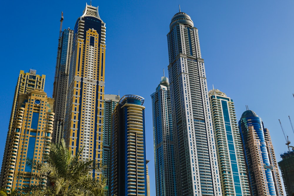 a group of tall buildings with Princess Tower in the background