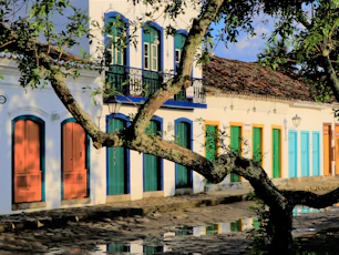 a building with a tree in front of it