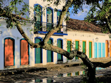 a building with a tree in front of it