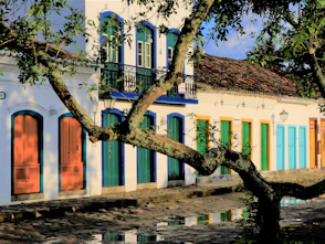 a building with a tree in front of it