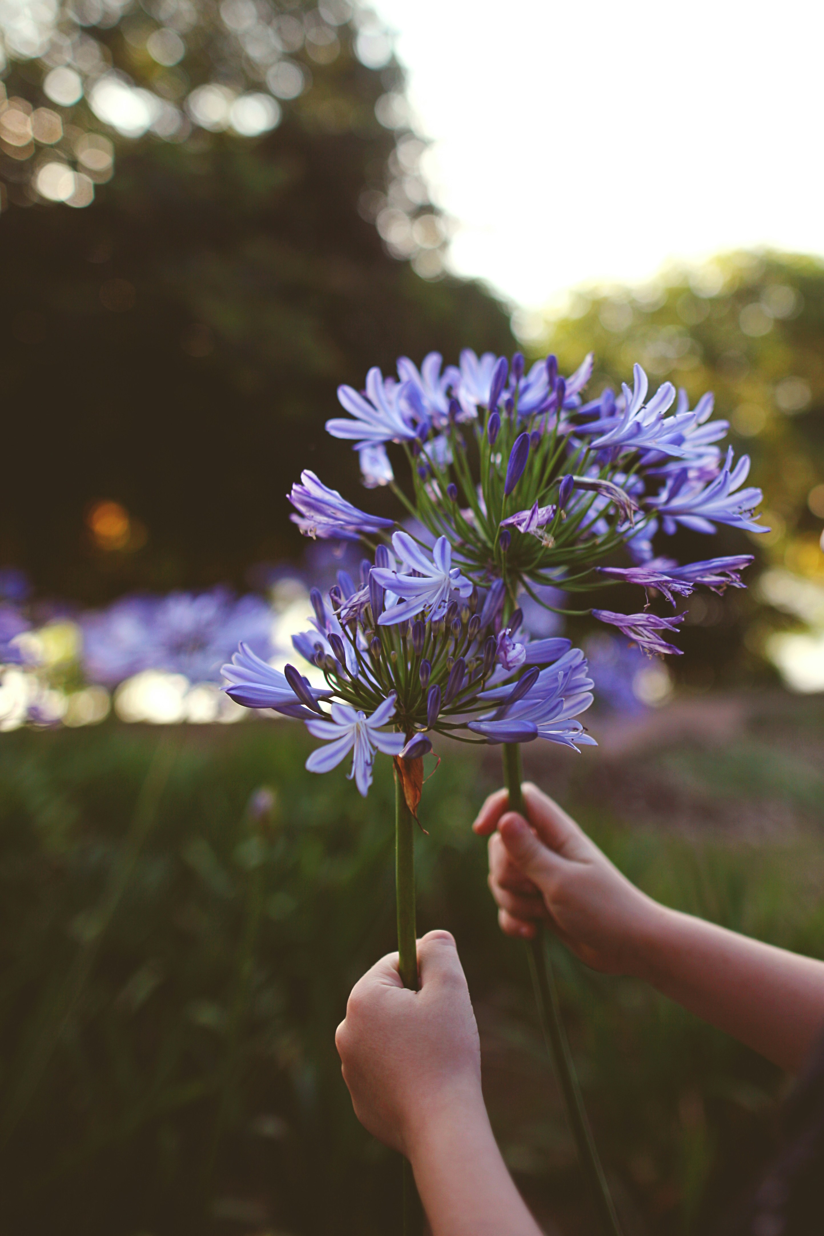 Photo by silvana_carlos