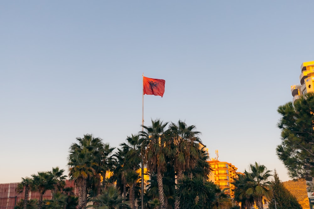 a flag on a pole