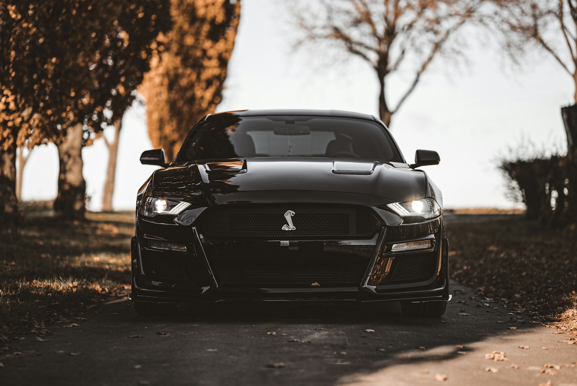 a black car parked on a road