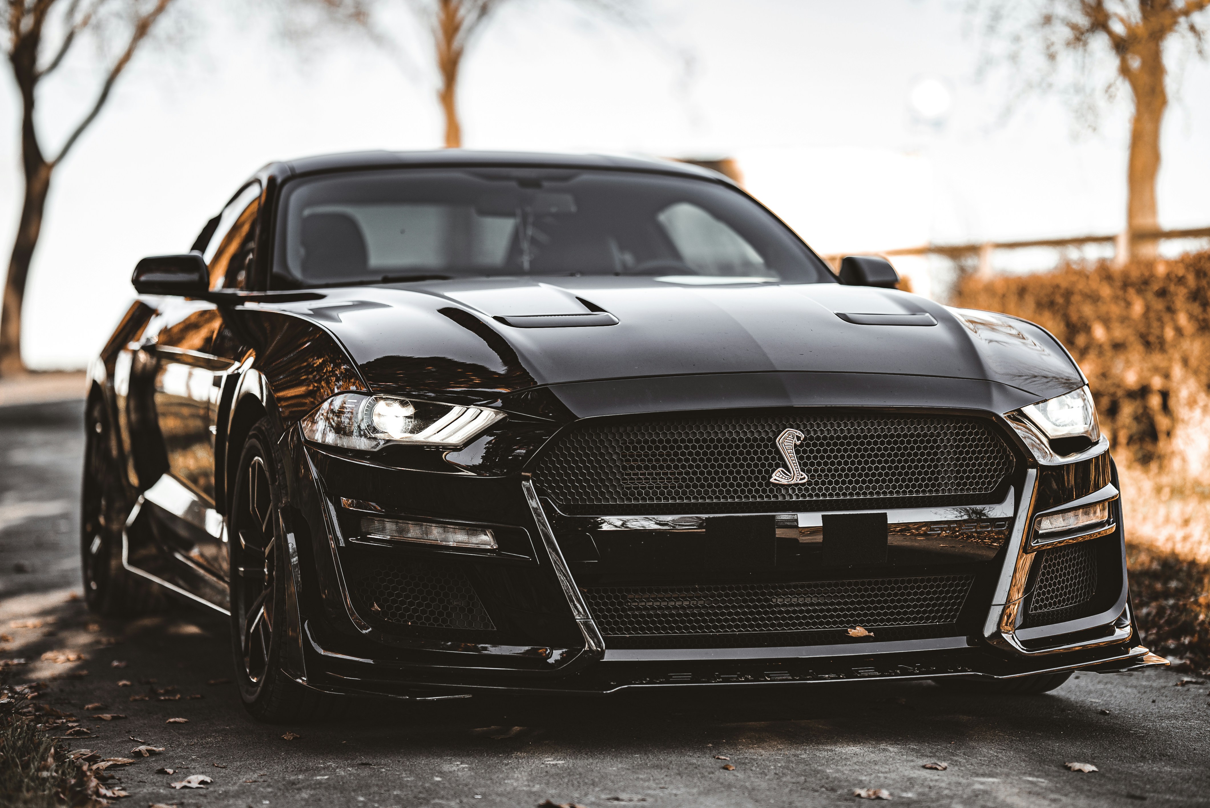 Photo by hk_filmografy