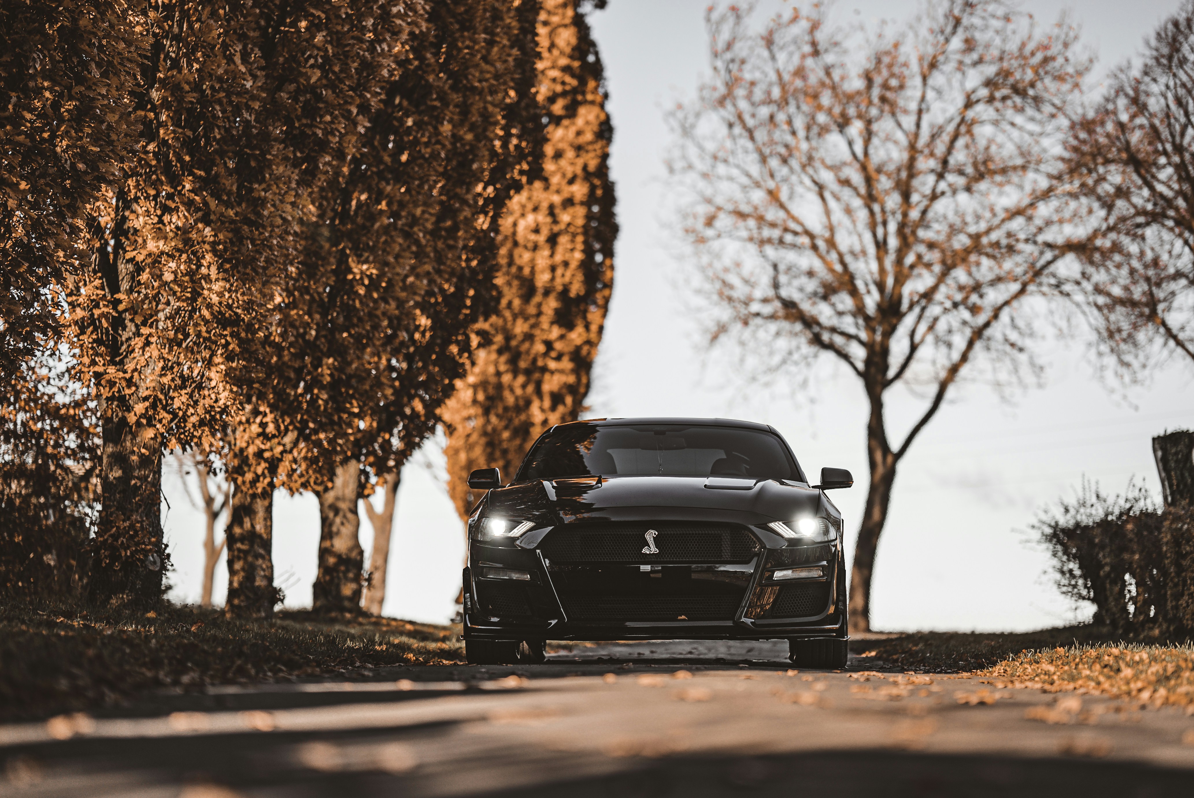 Photo by hk_filmografy