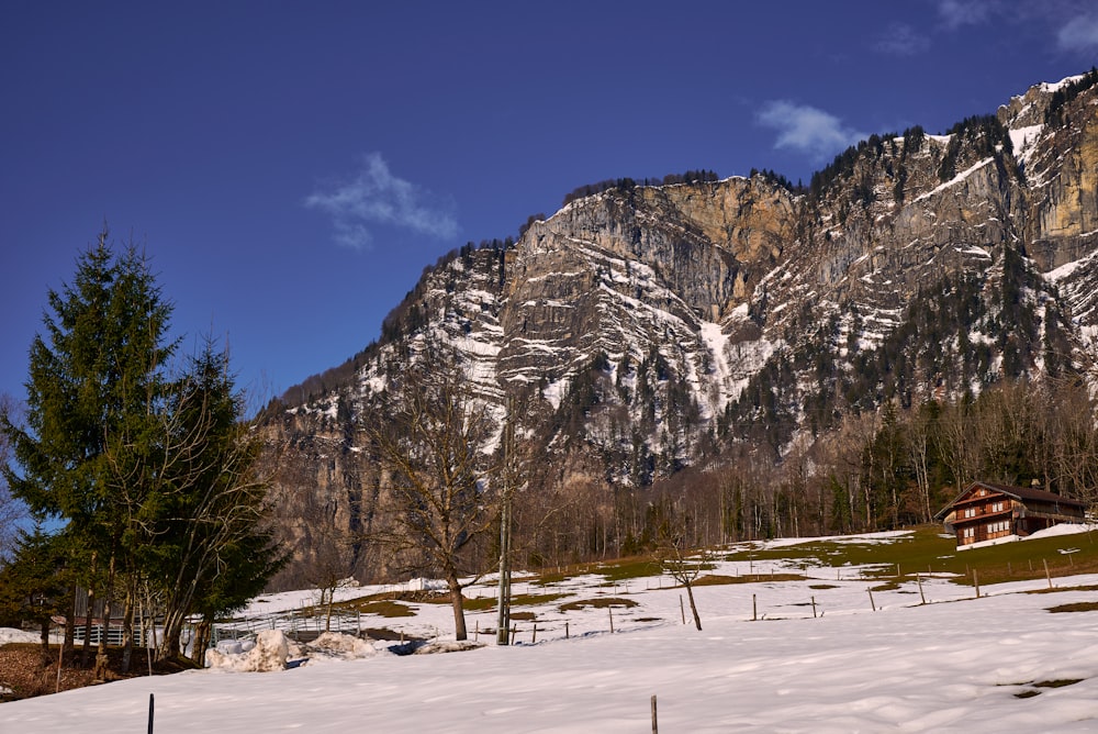 a snowy mountain with trees and a house