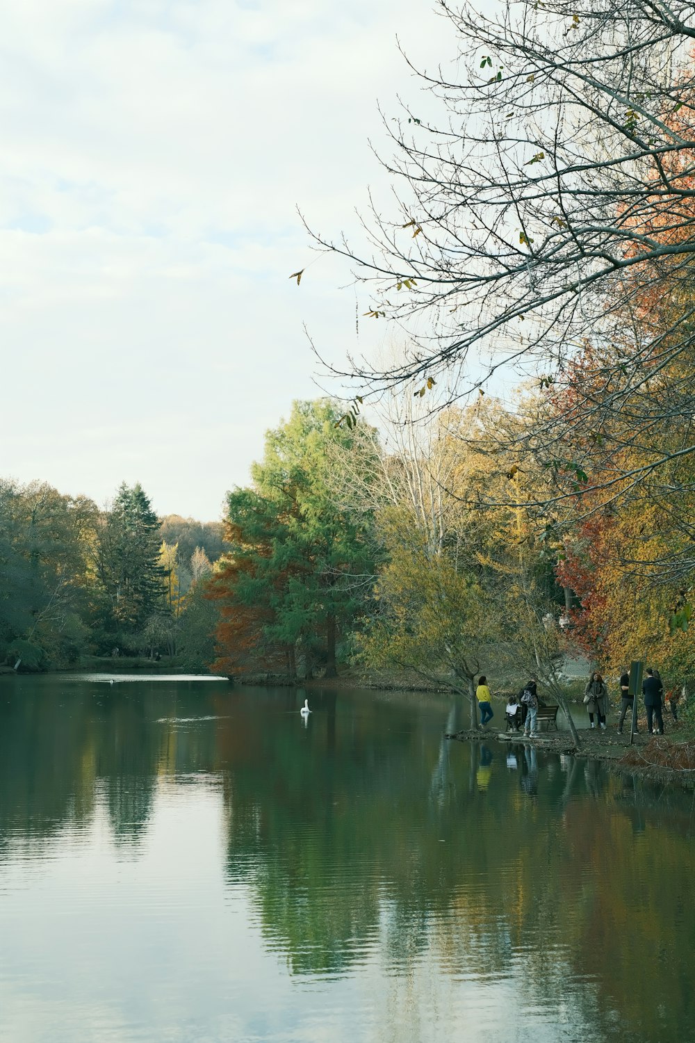 a group of people standing on a dock by a lake