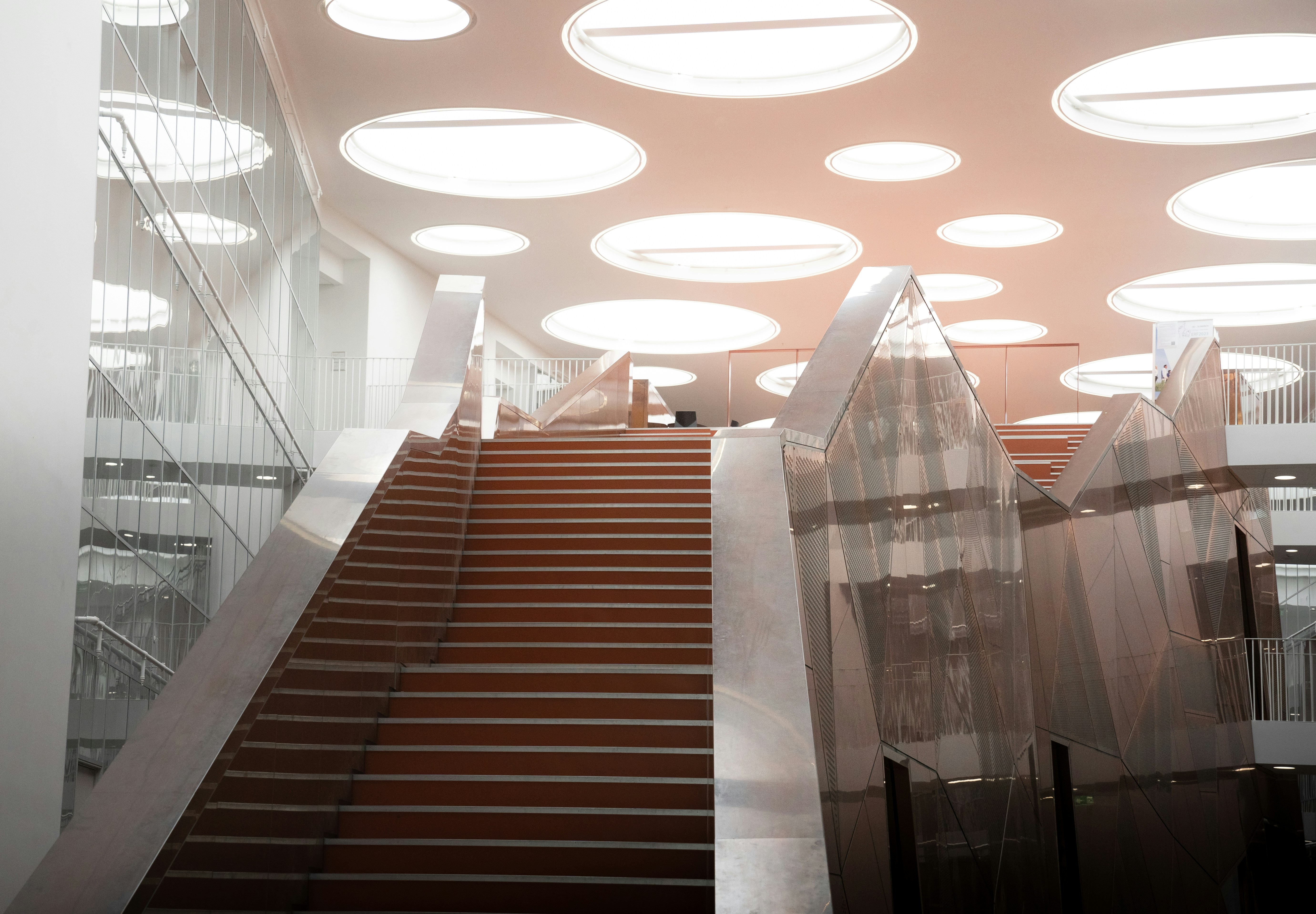 university application