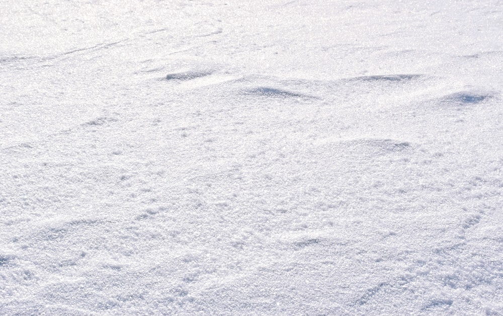 a snow covered ground