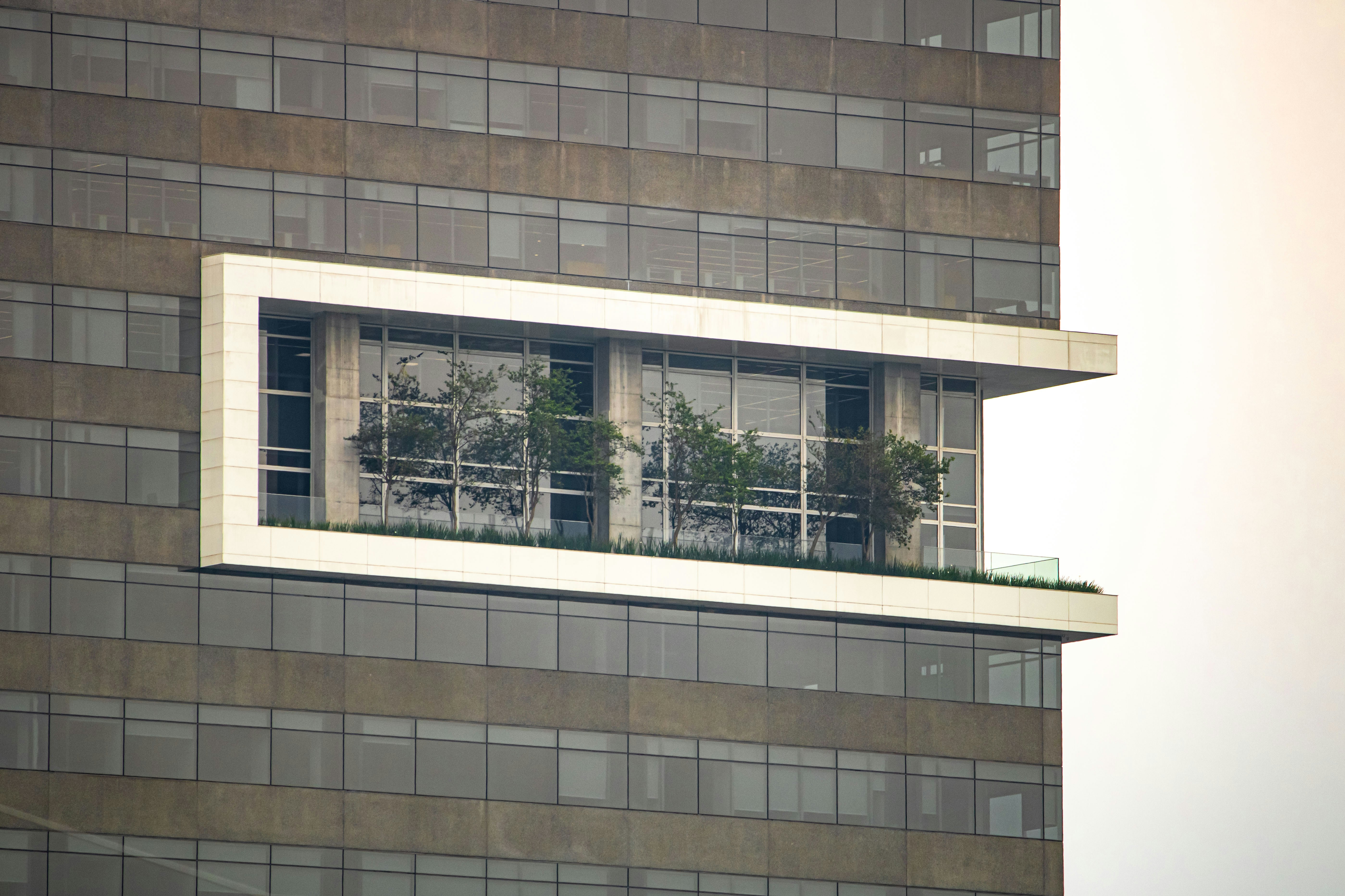 外に木がある建物