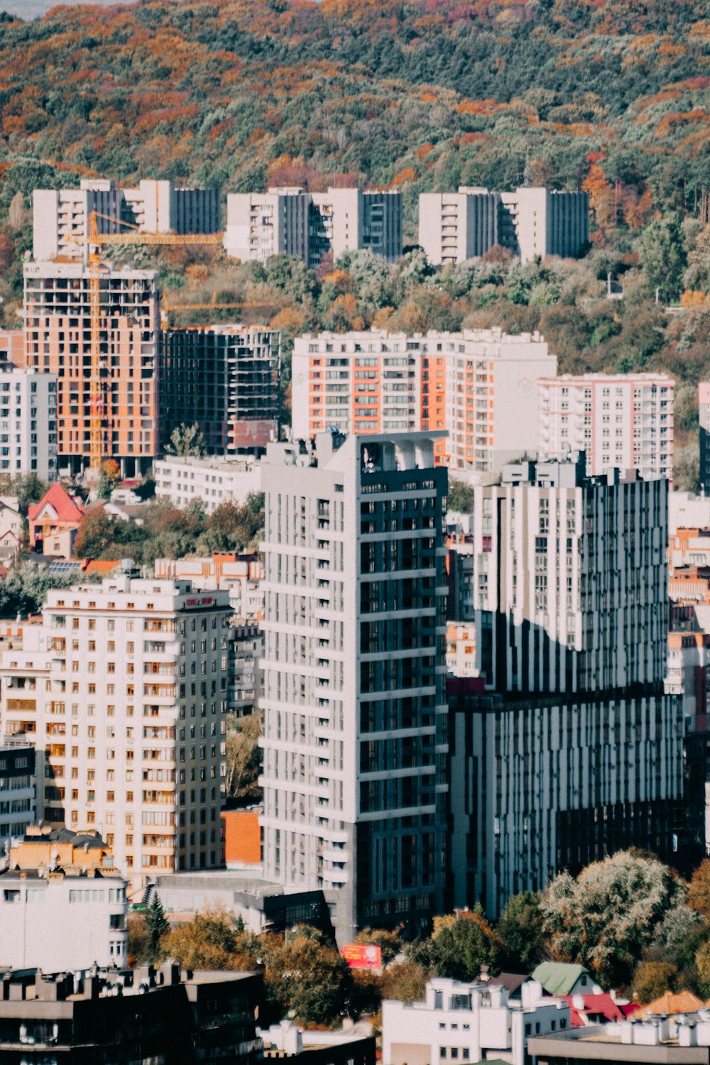 a city with tall buildings