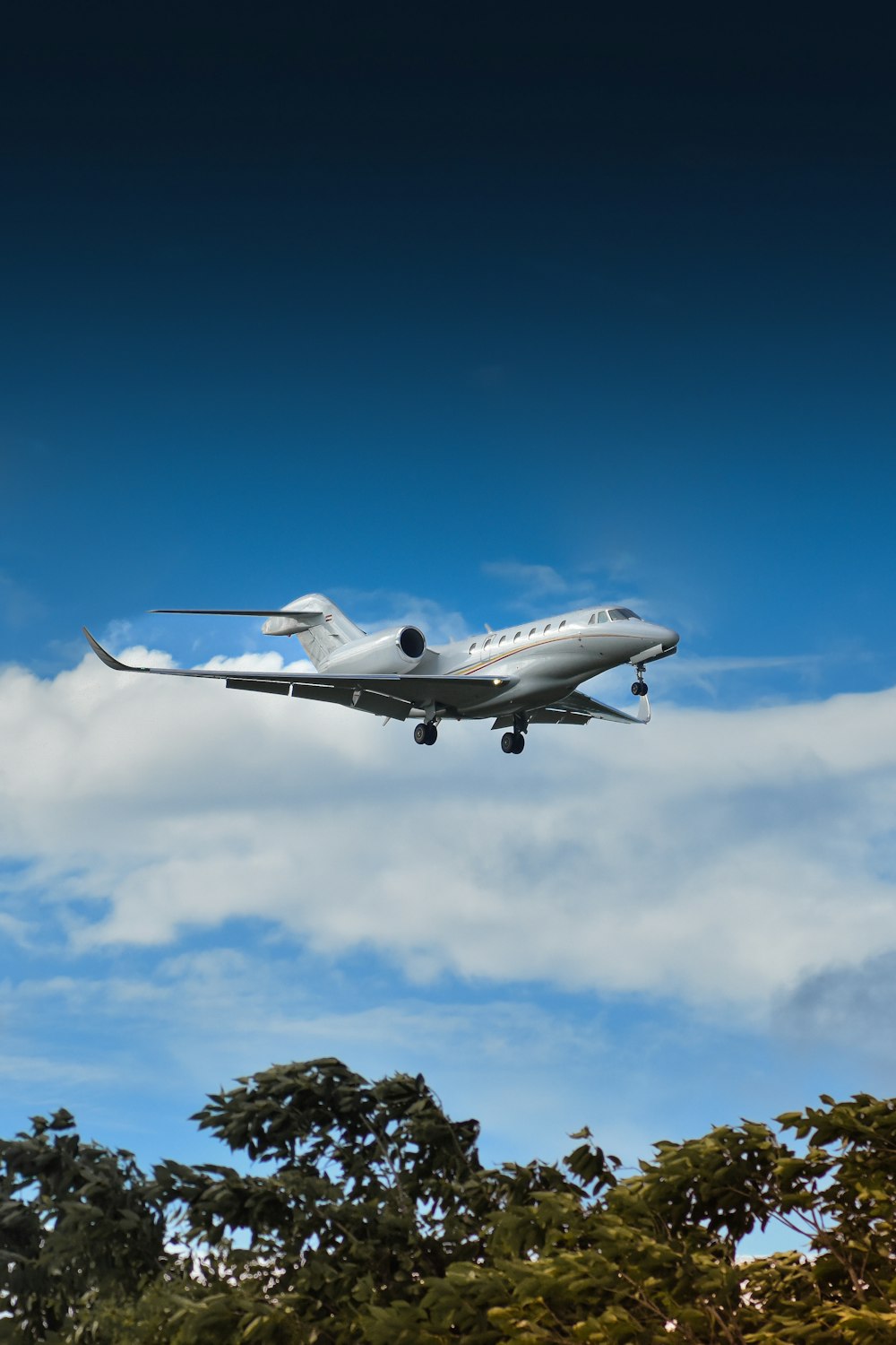 an airplane flying over trees