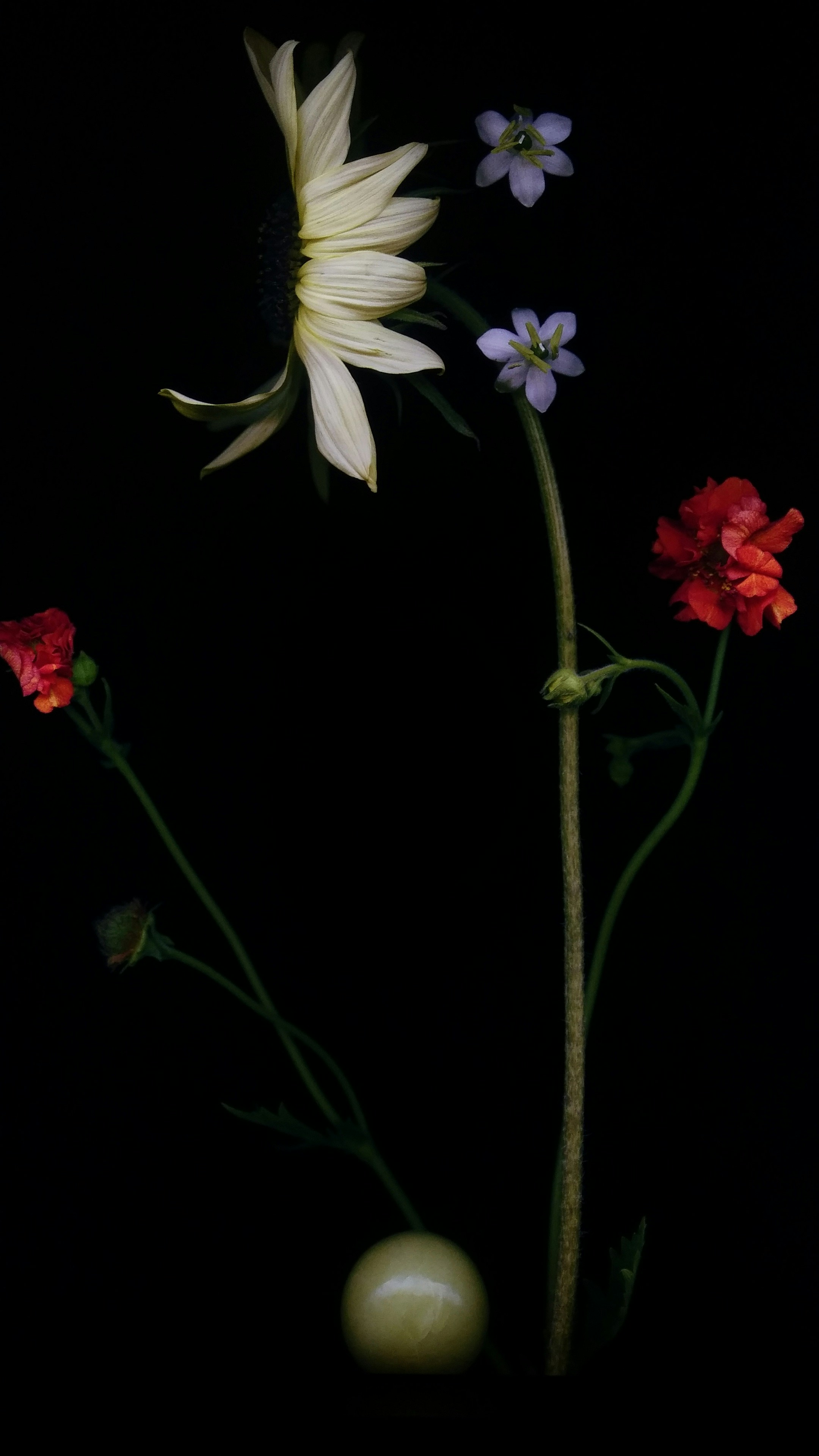 Photo by salihasultansogutlu