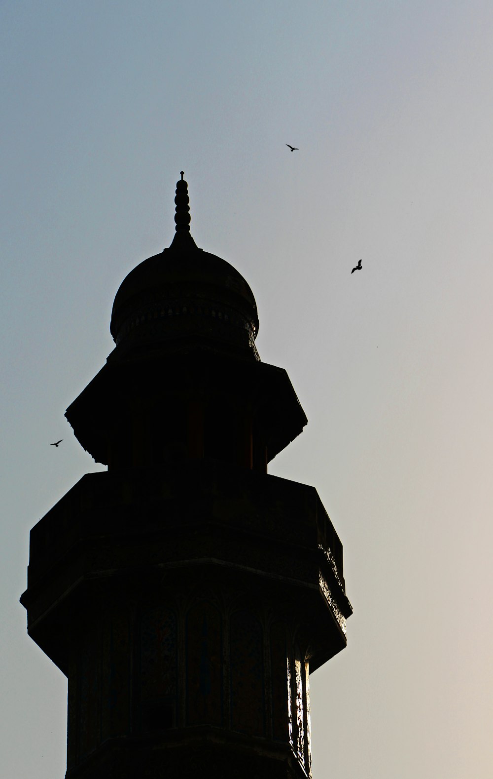 a building with birds flying around