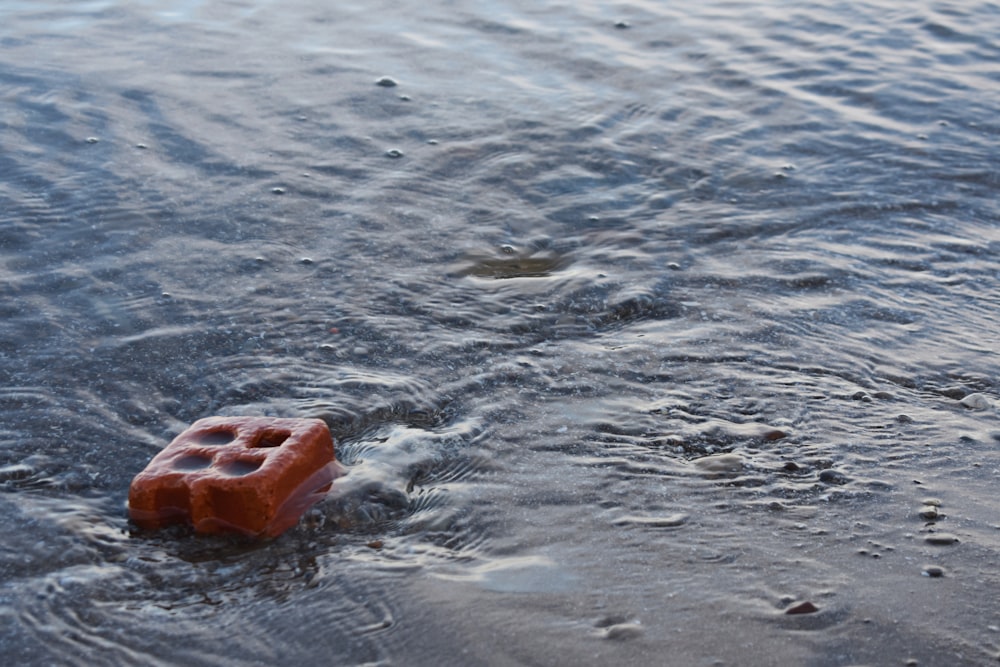 a red object in the water