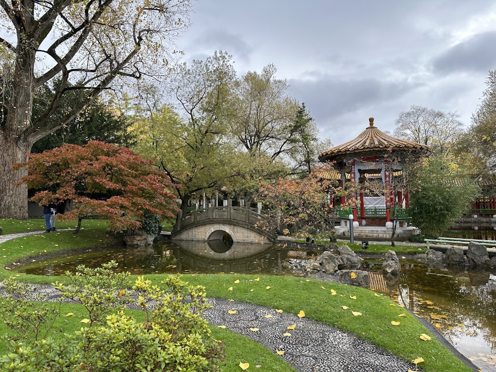 a pond with a building in the background