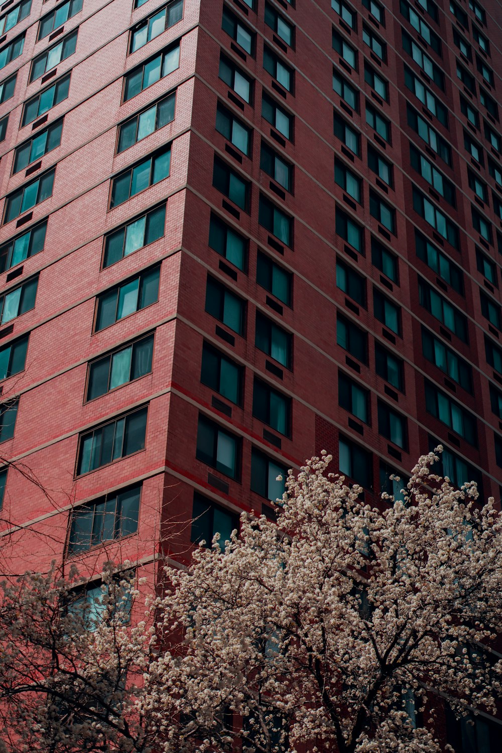 a tall building with many windows