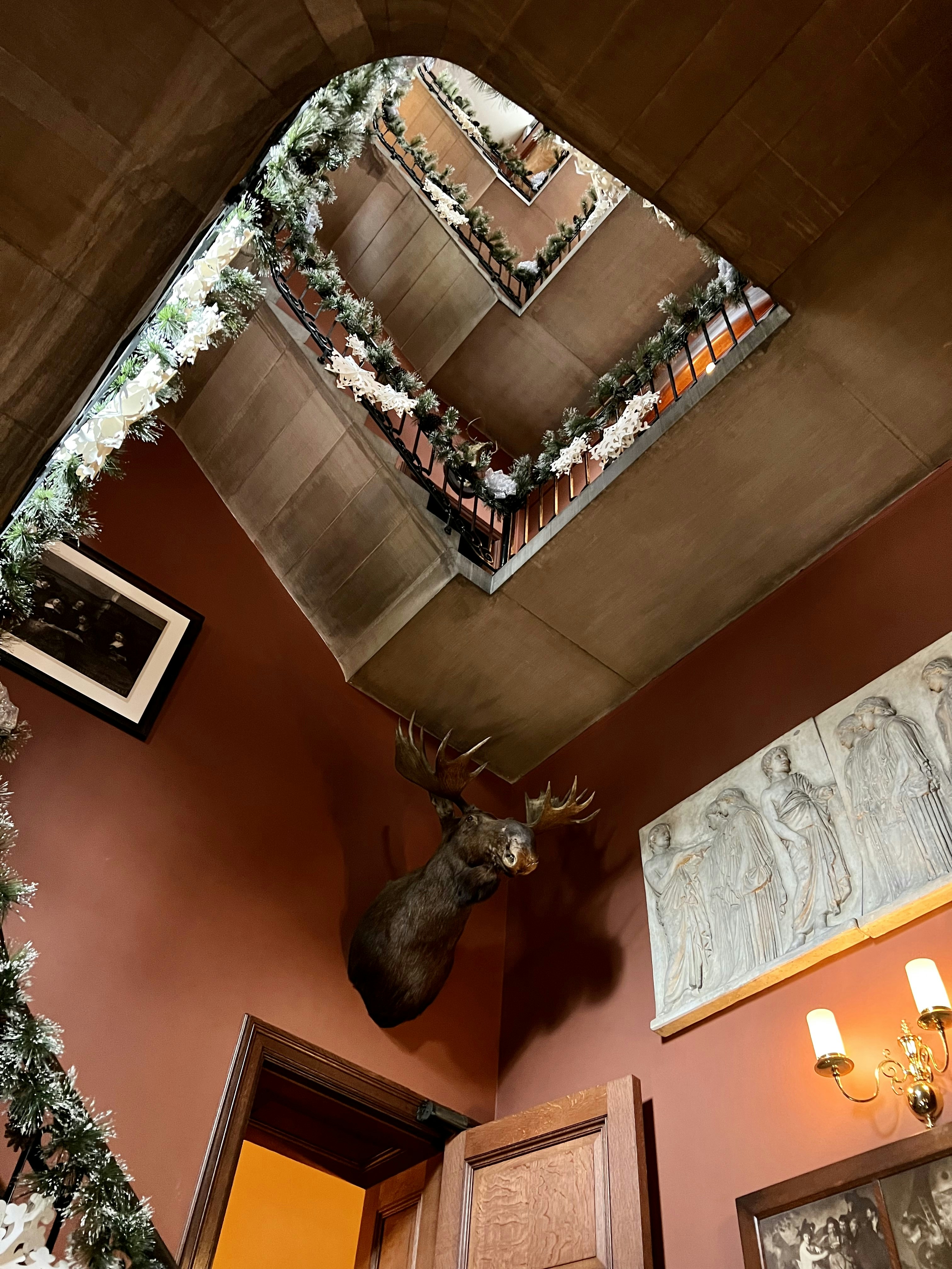 biltmore estate wedding