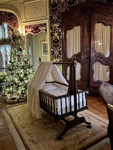 Luxury Baby Stroller