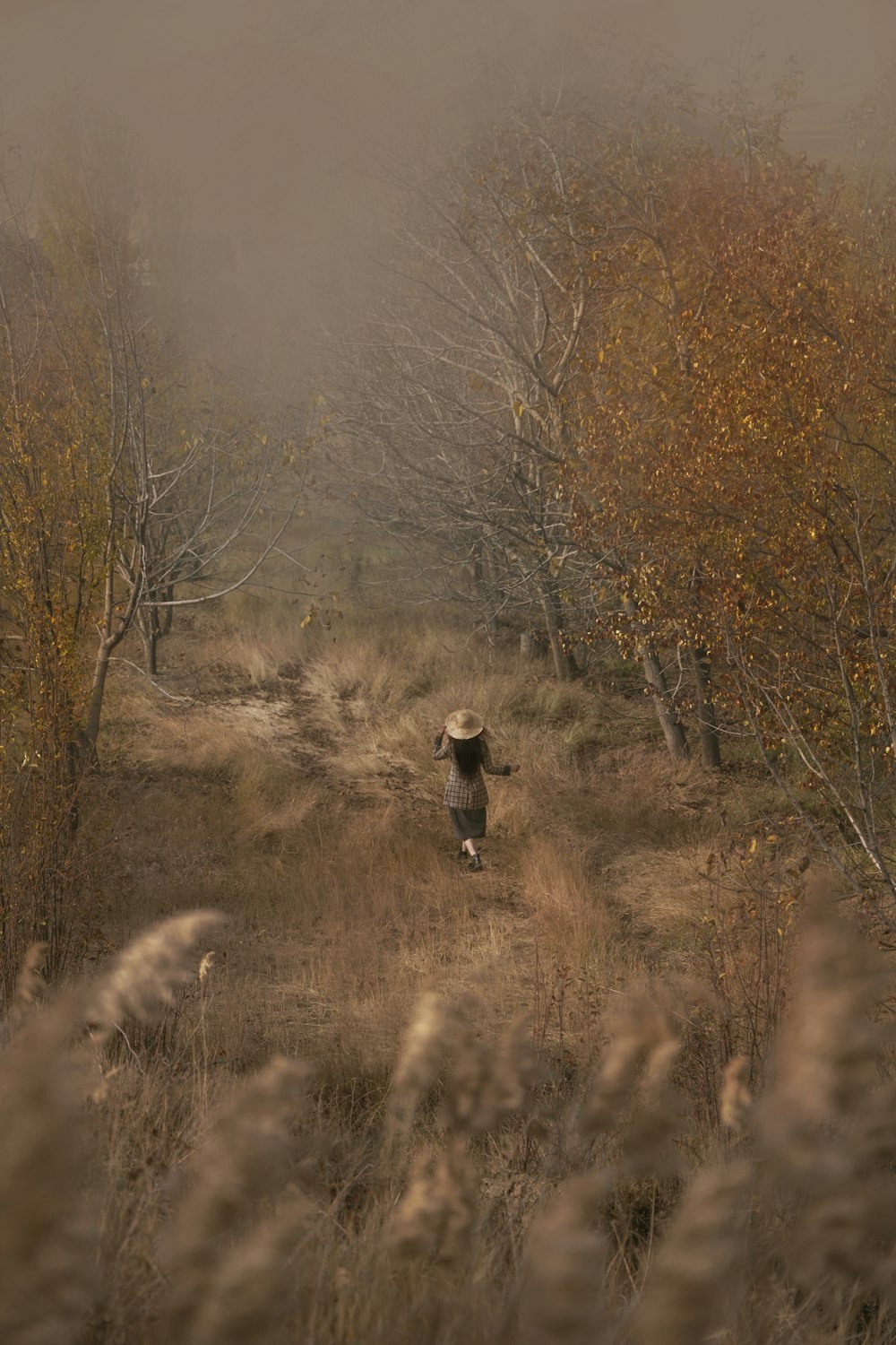 a person walking through a field