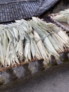 Bundles of bardana neatly arranged in a storage area.