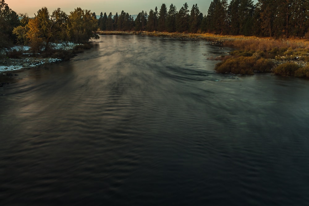 a river with trees on the side