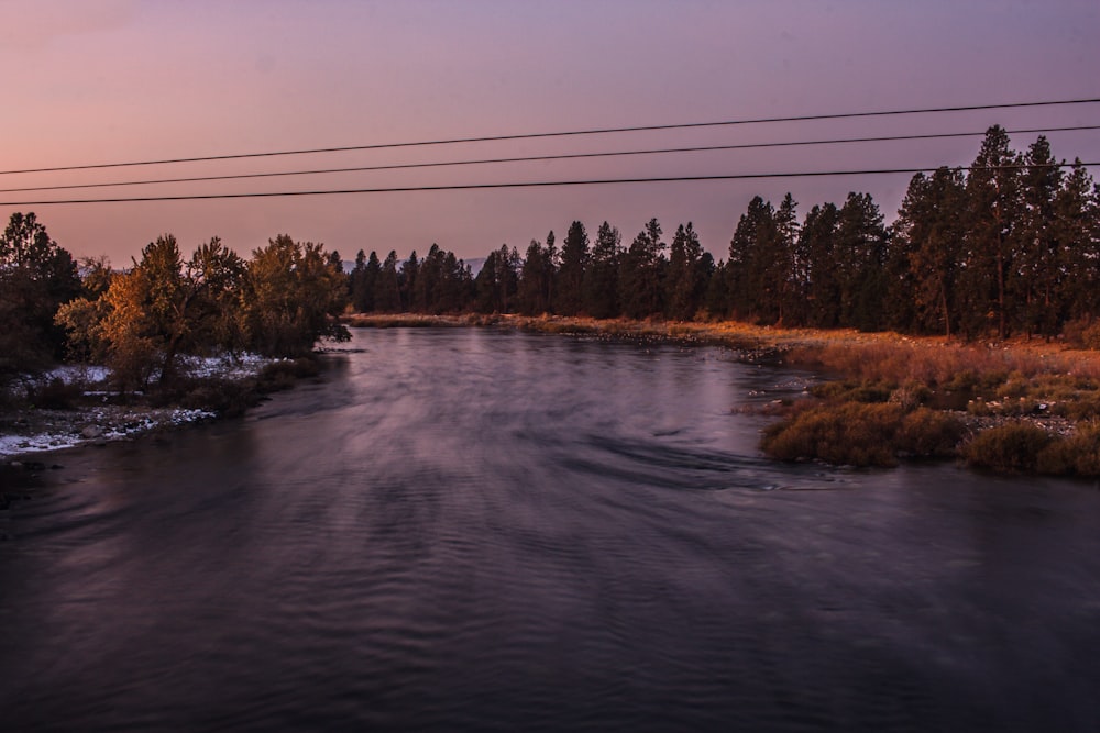 a river with trees on the side