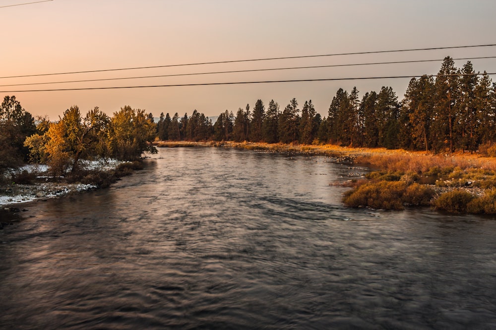 a river with trees on the side