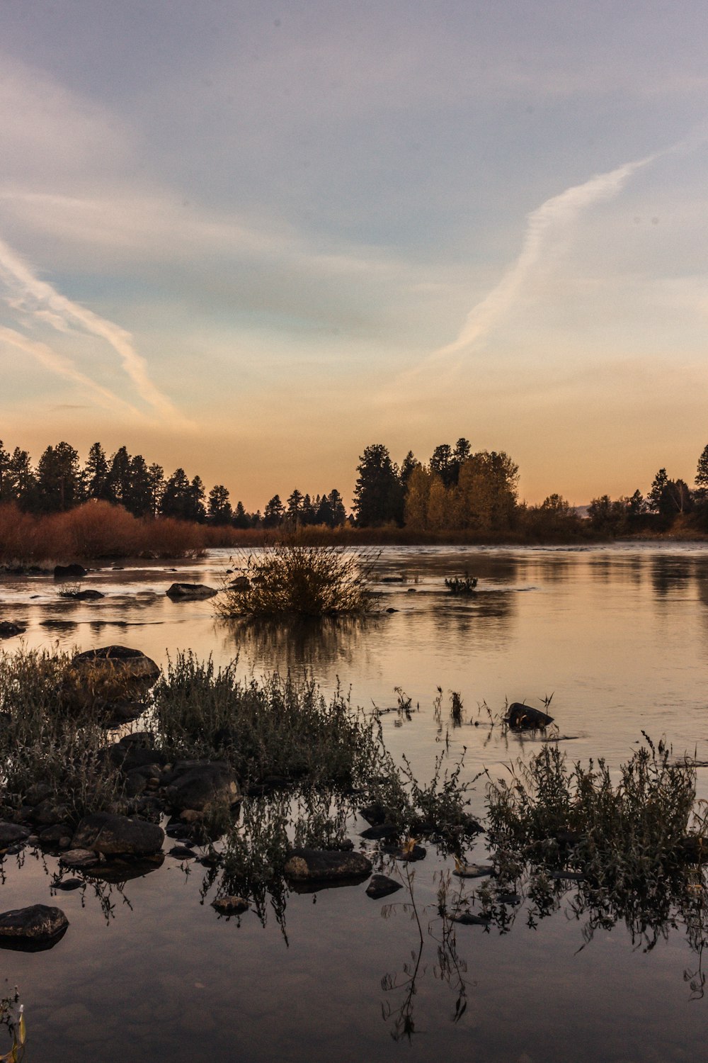 a body of water with trees in the background