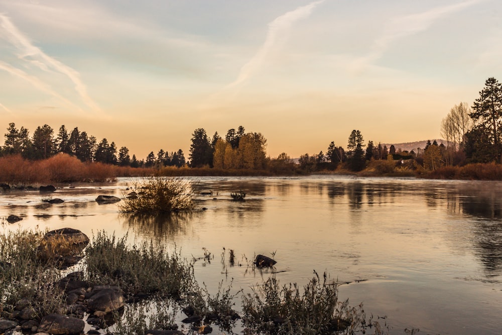 a body of water with trees and snow on the side