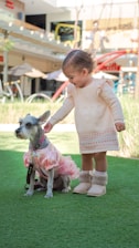 A young child in a cream-colored dress and fluffy boots is gently touching the head of a small dog dressed in a pink outfit. They are standing on a green patch of artificial grass in what appears to be a commercial outdoor area, with blurred backgrounds of benches, umbrellas, and some building structures.