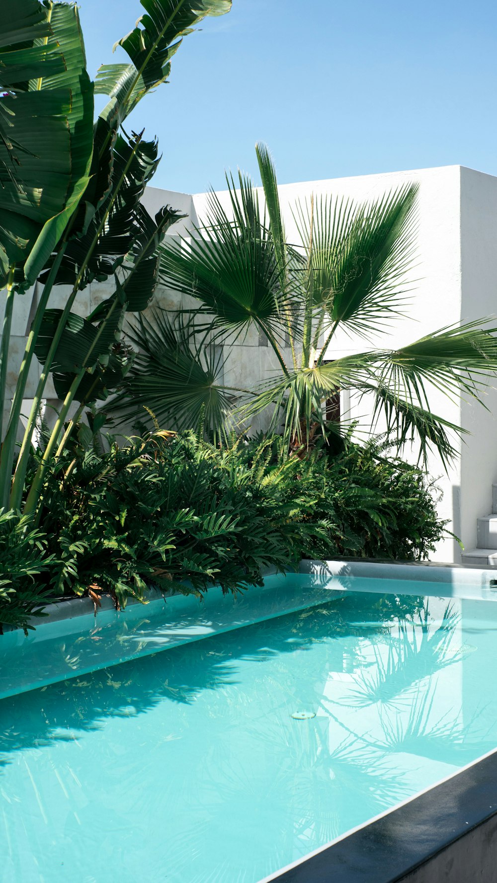 a pool with plants around it