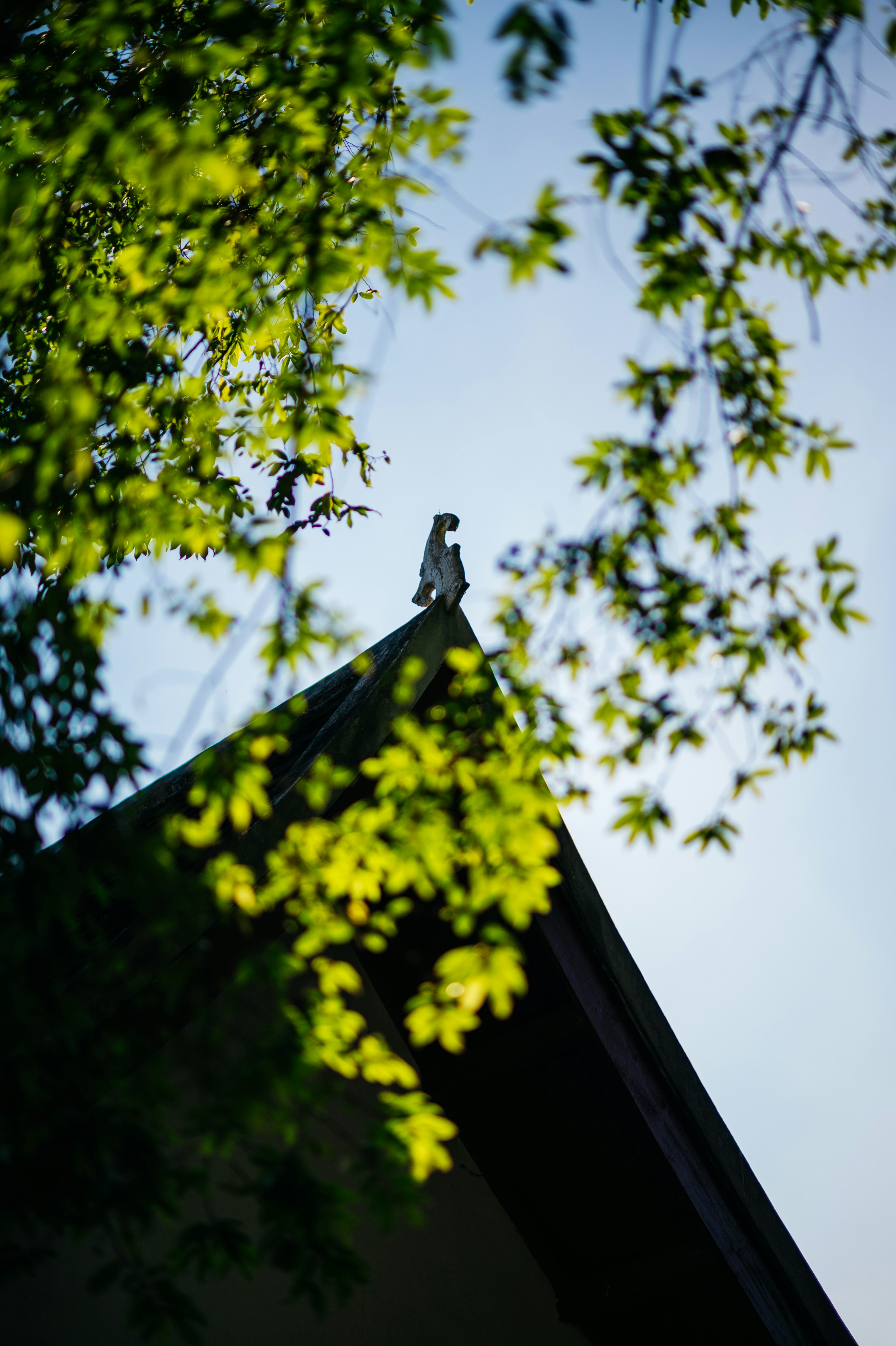 Photo by chuttersnap