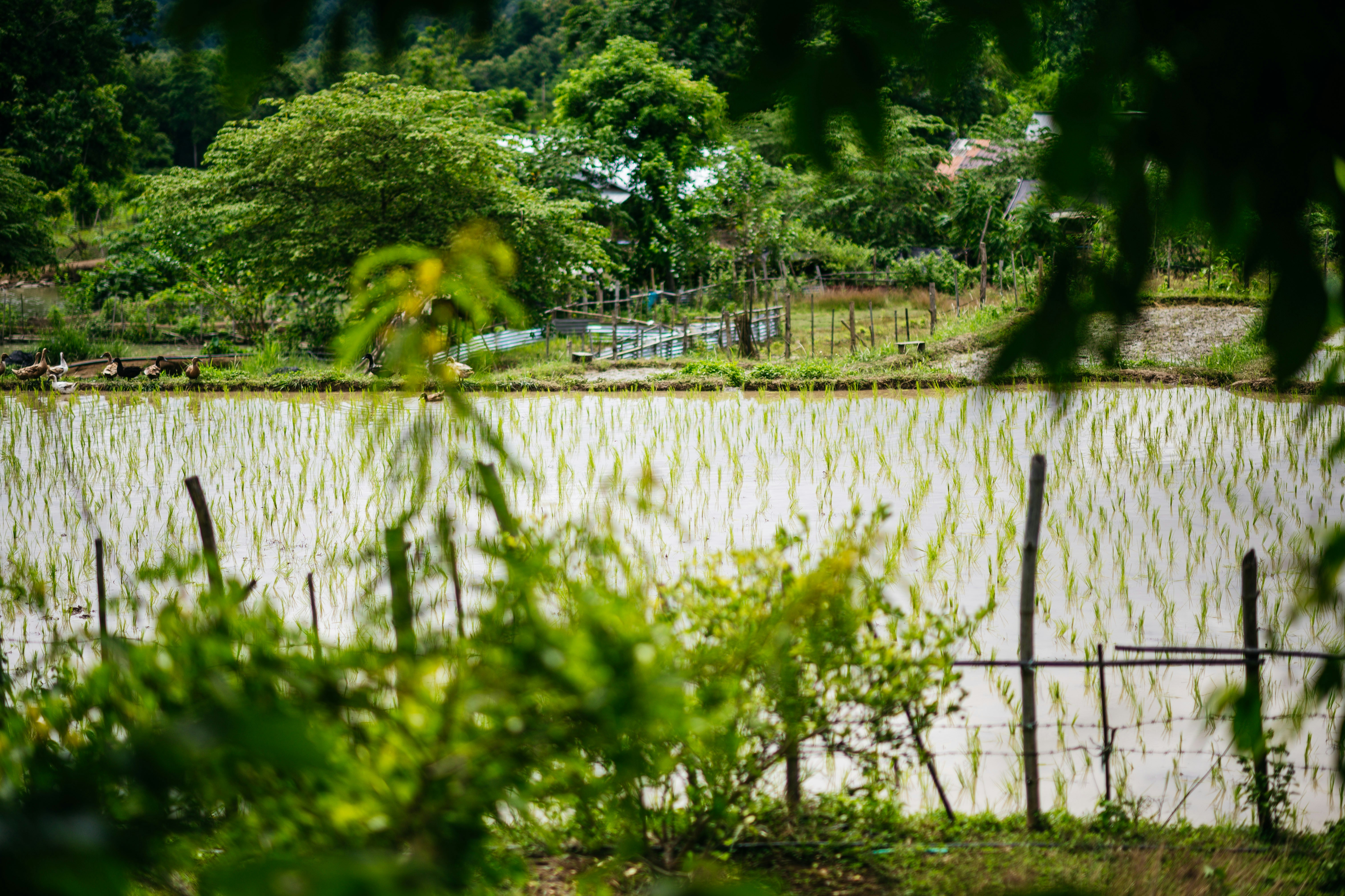 Photo by chuttersnap