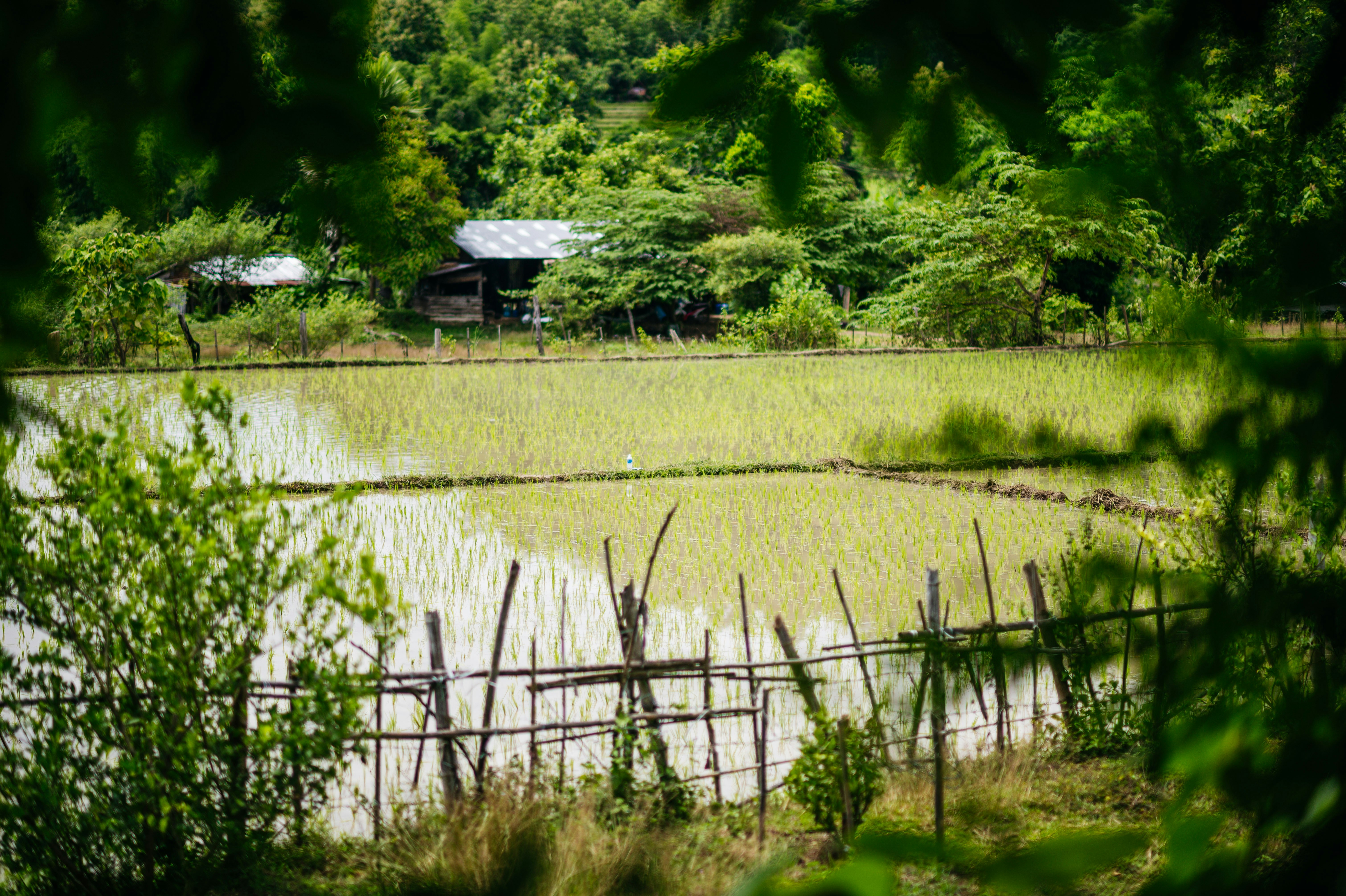 Photo by chuttersnap