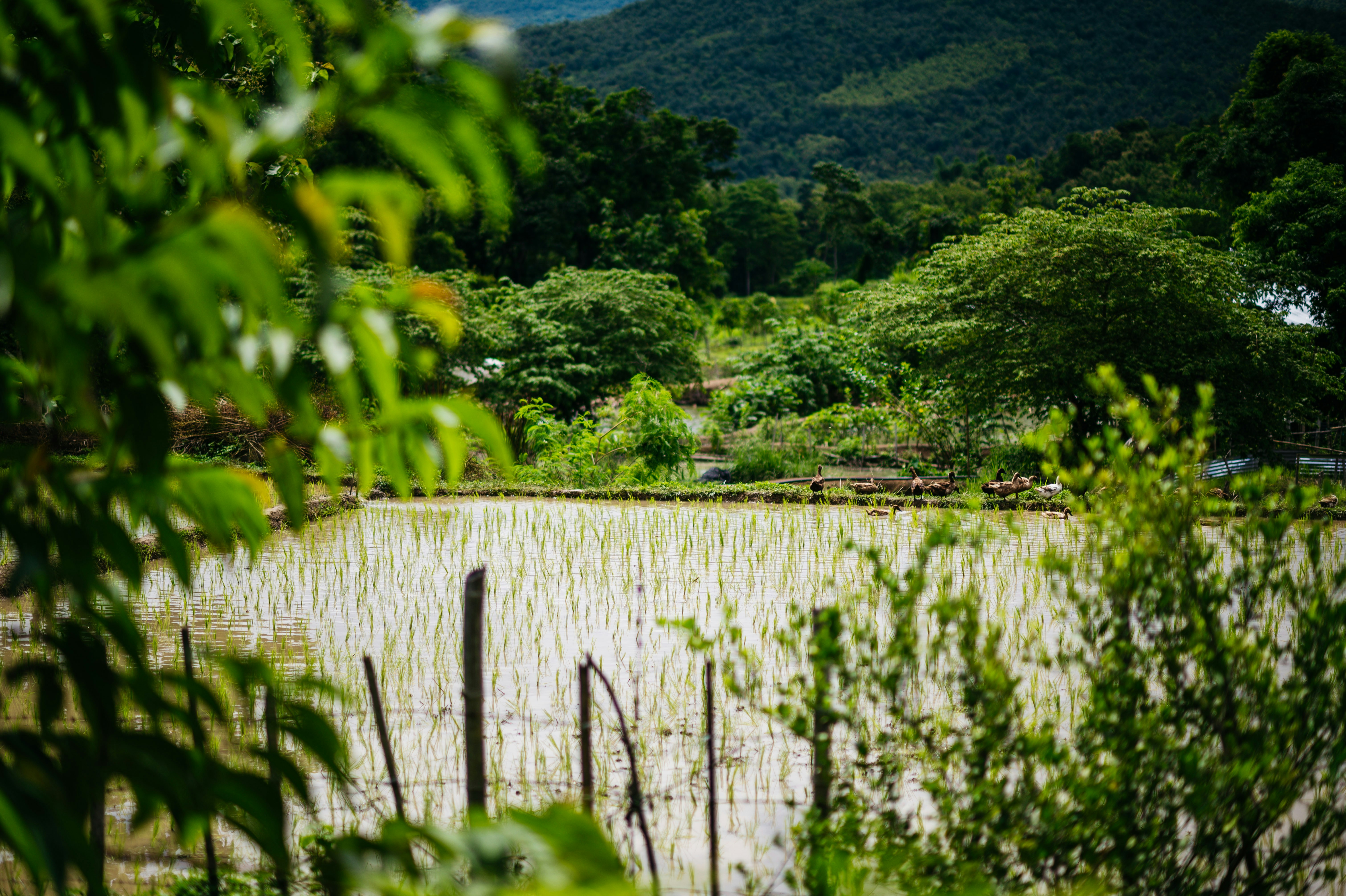 Photo by chuttersnap