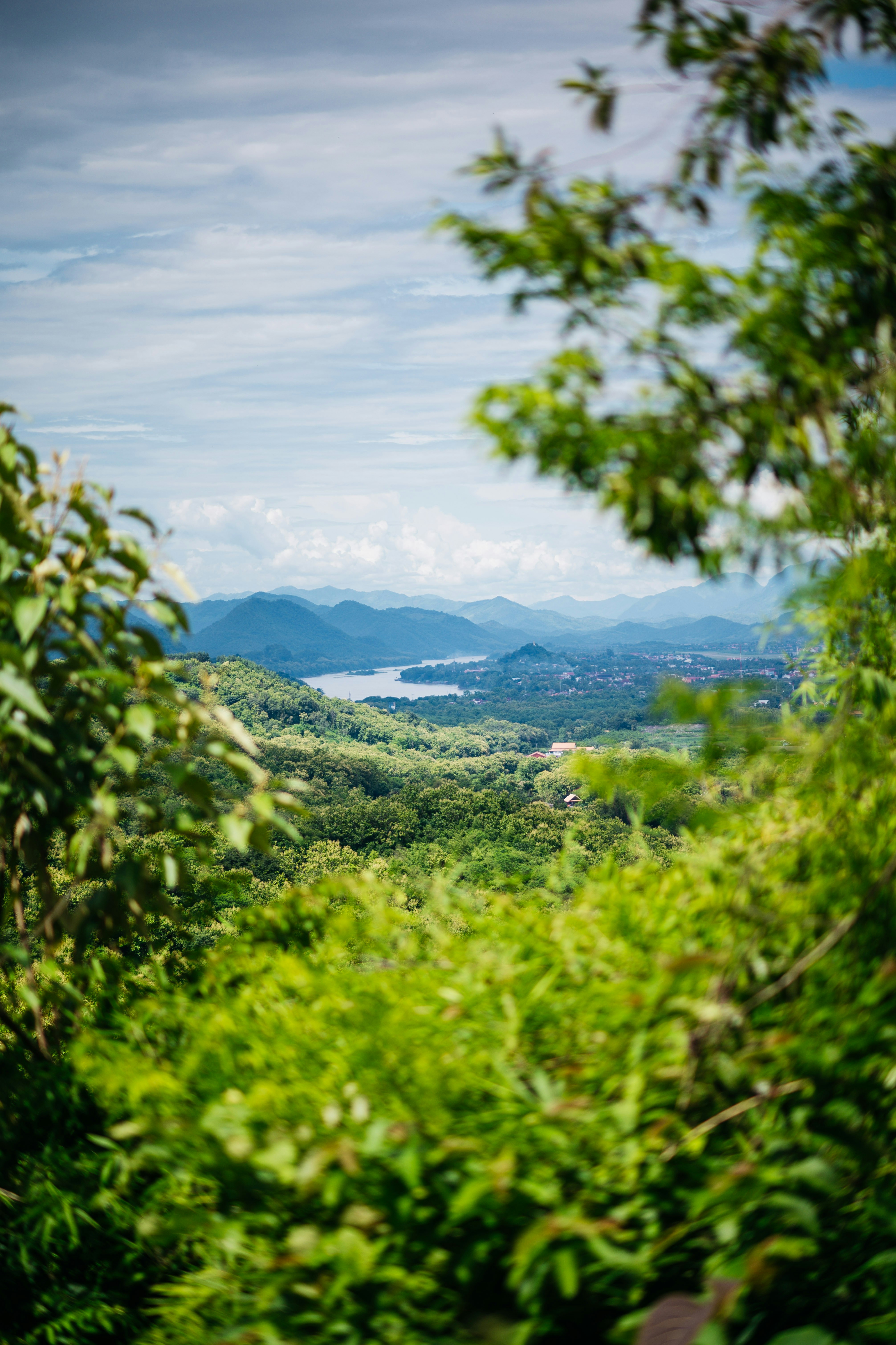 Photo by chuttersnap