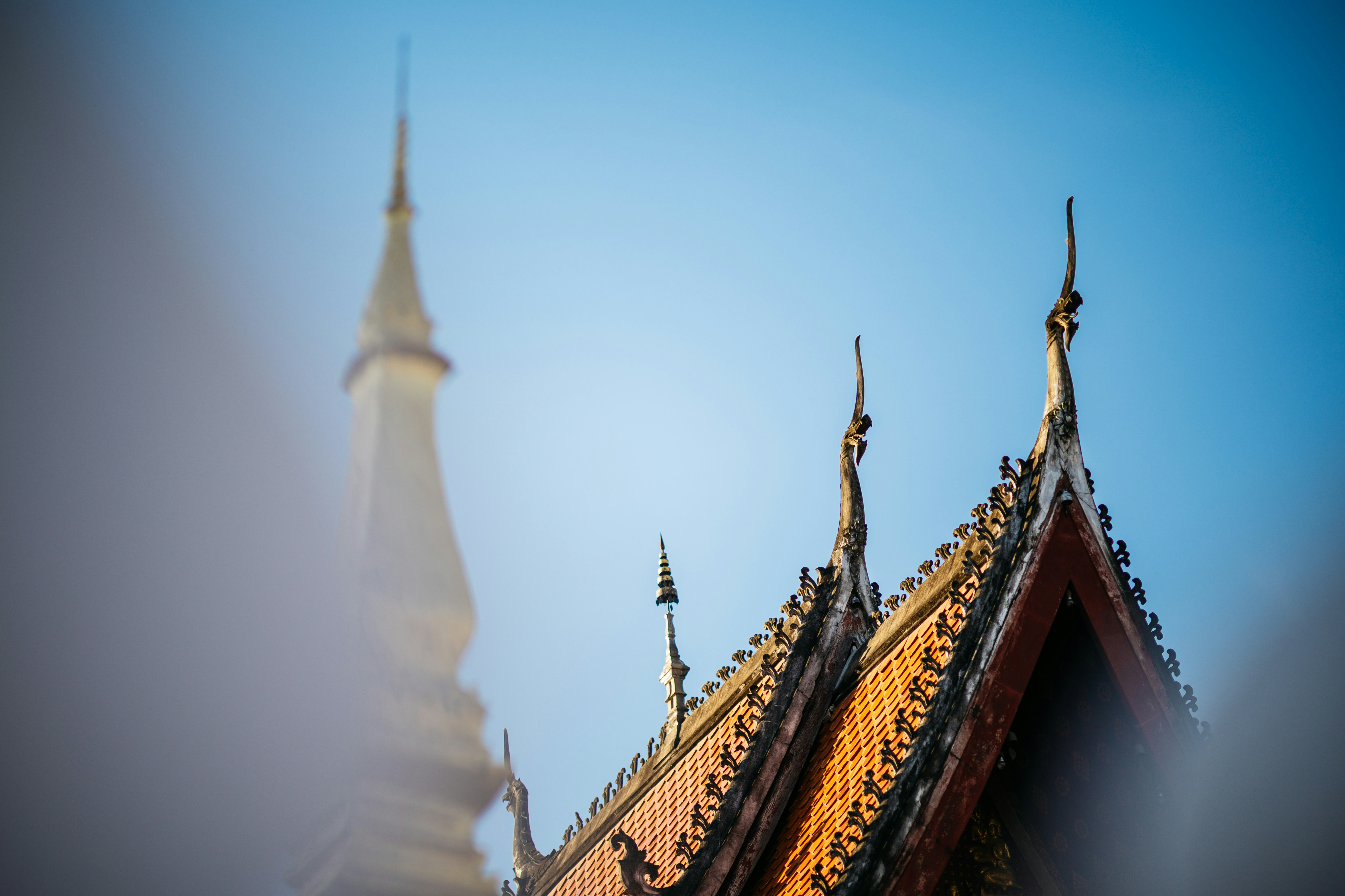 Photo by chuttersnap