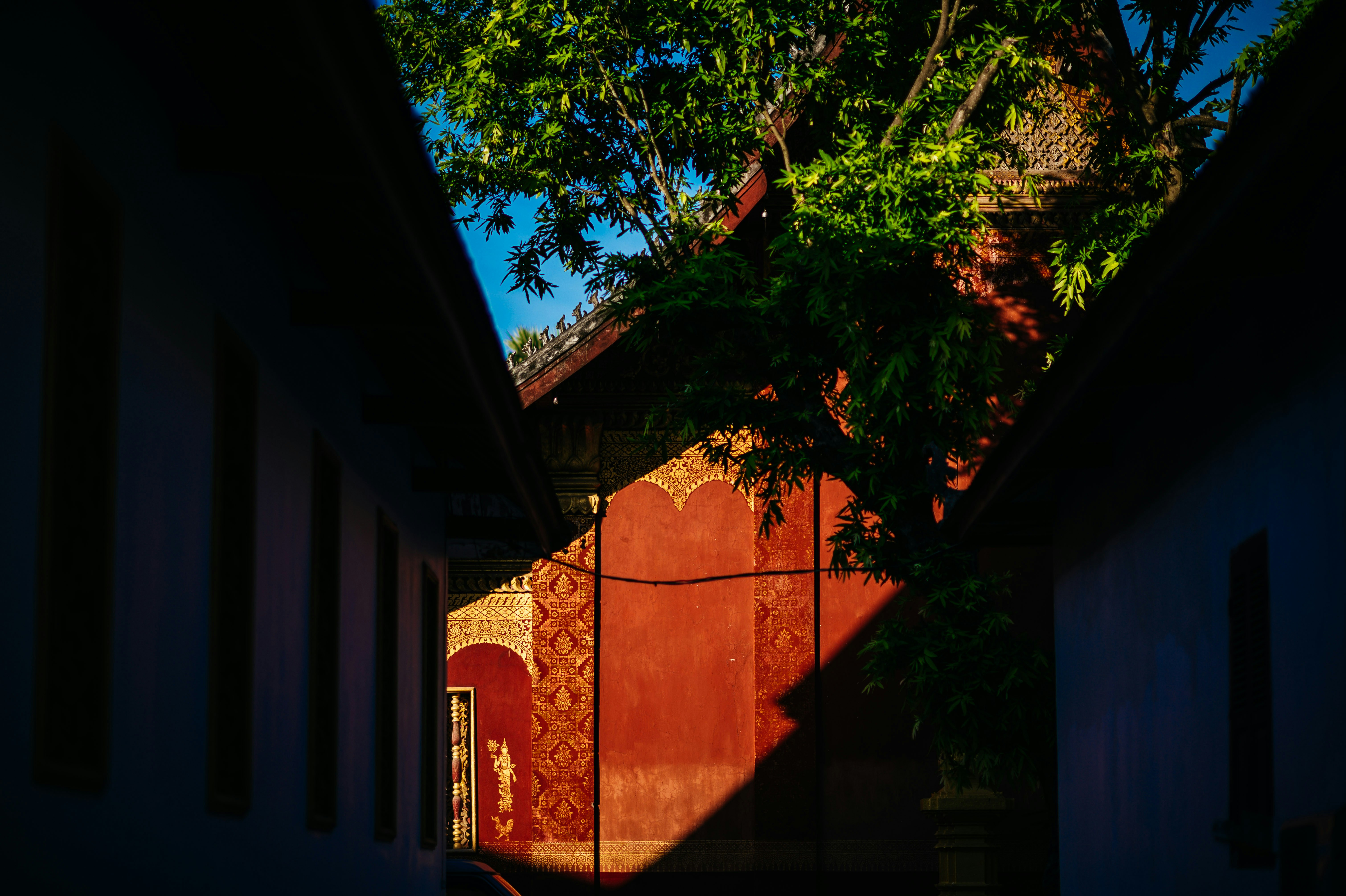 Photo by chuttersnap