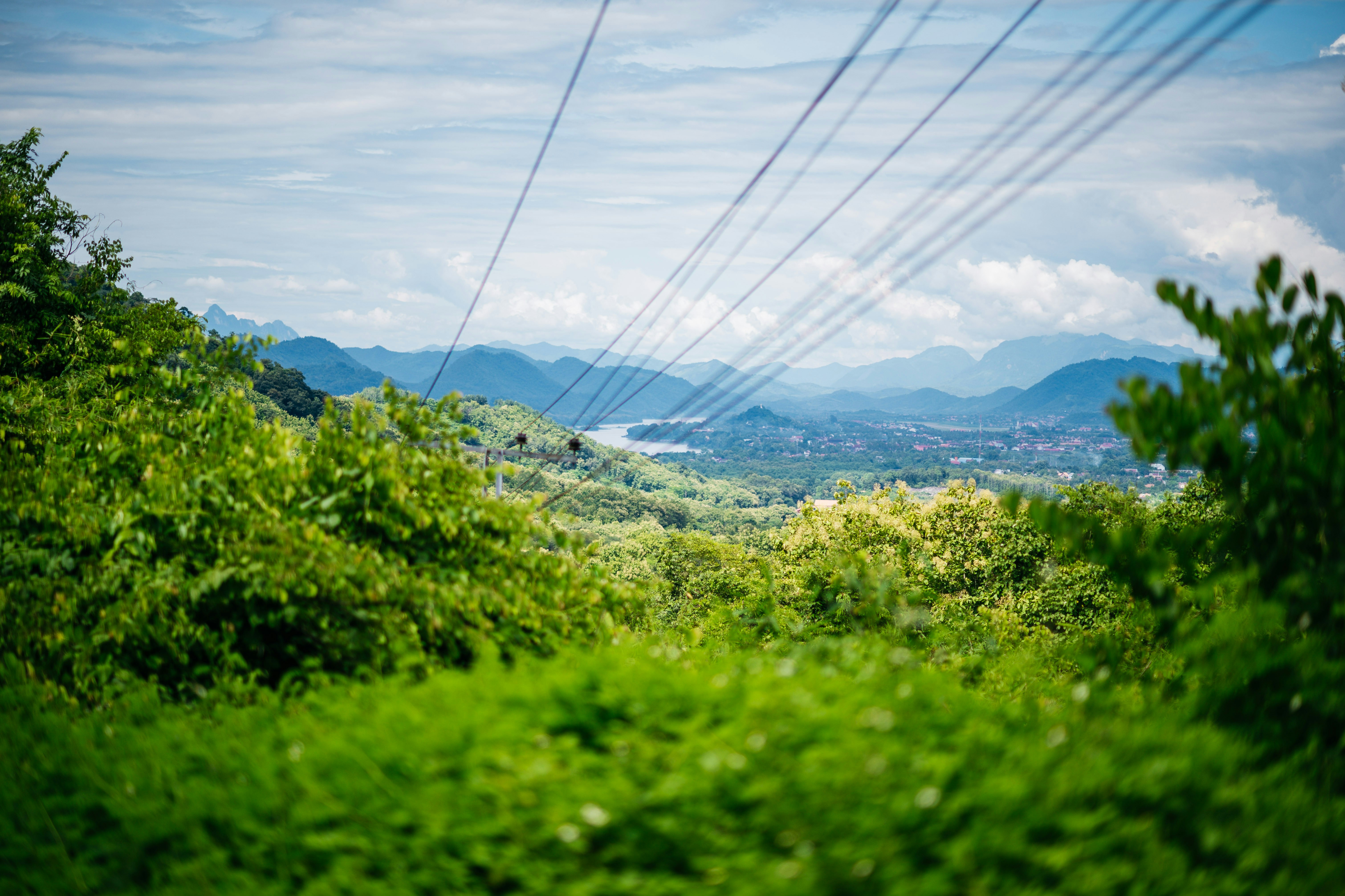 Photo by chuttersnap