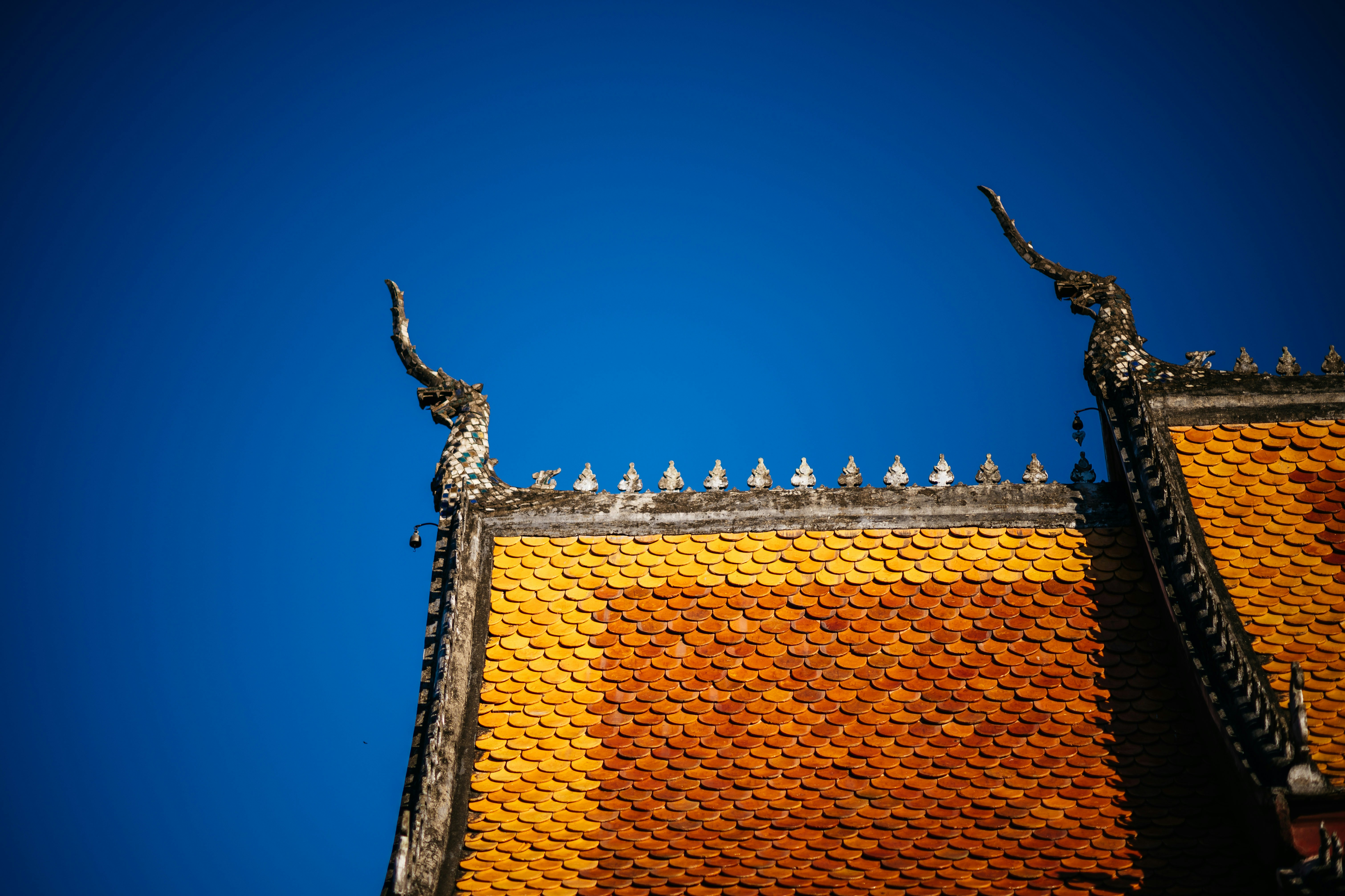 Photo by chuttersnap