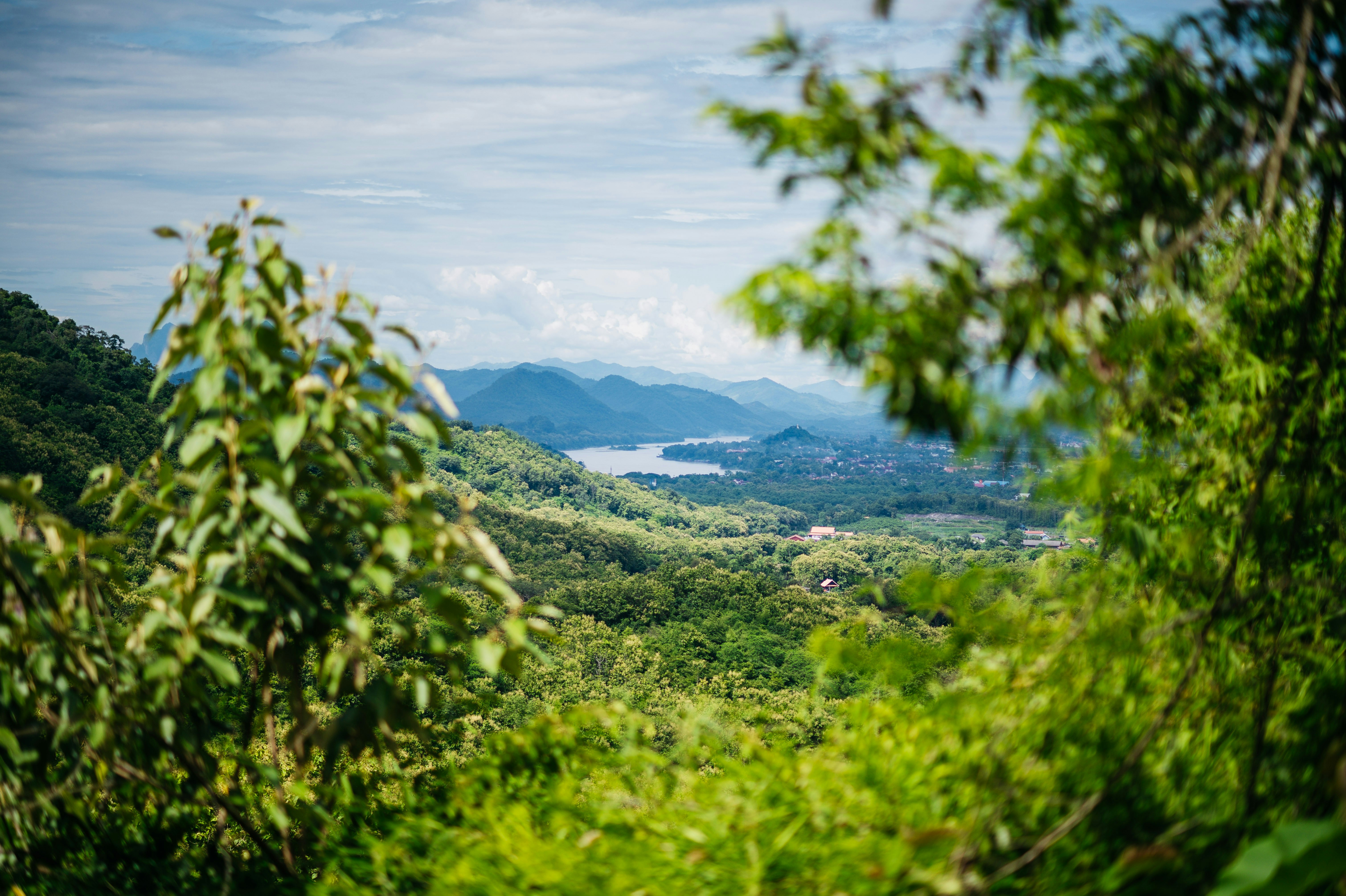 Photo by chuttersnap