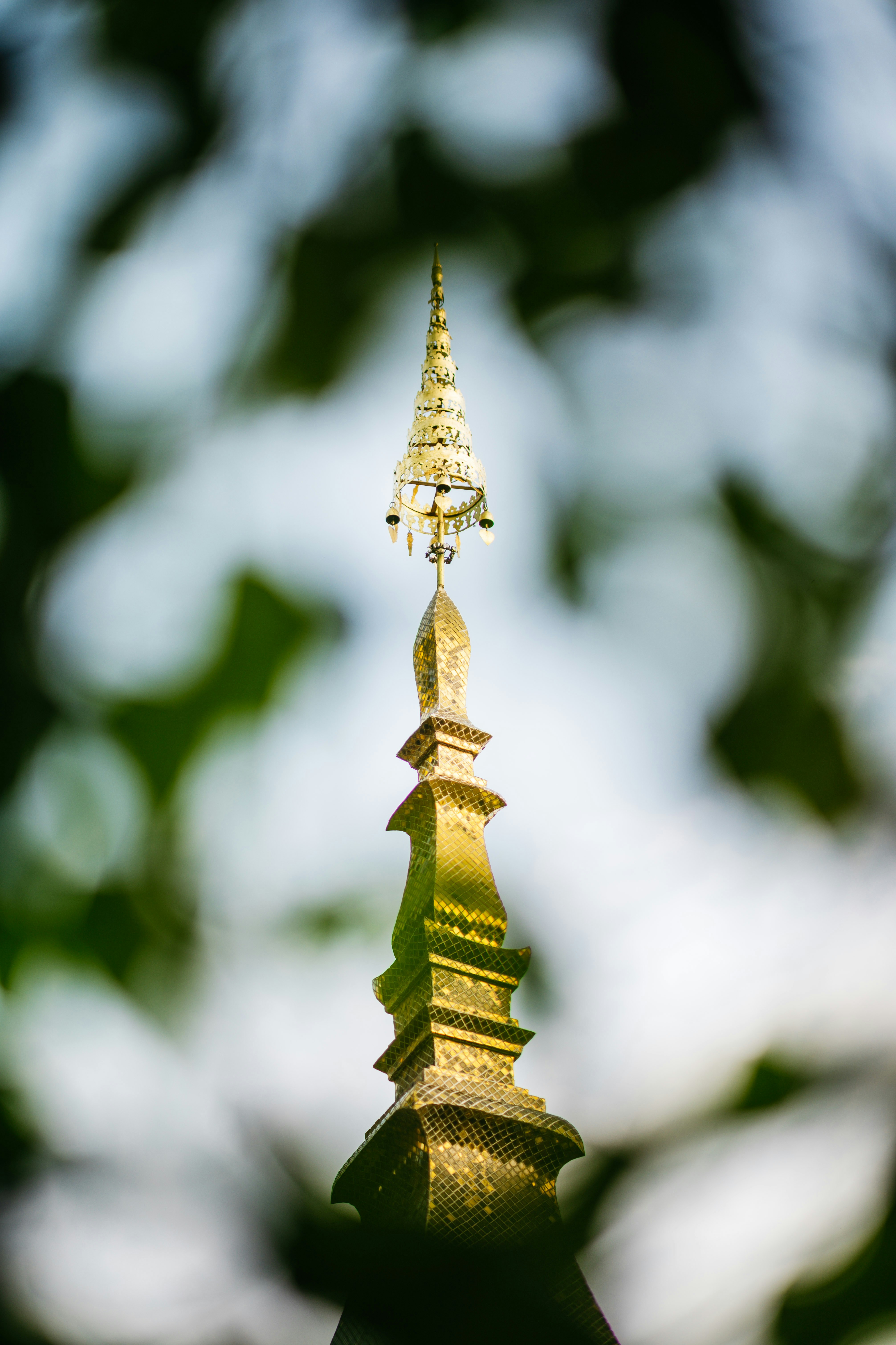 Photo by chuttersnap