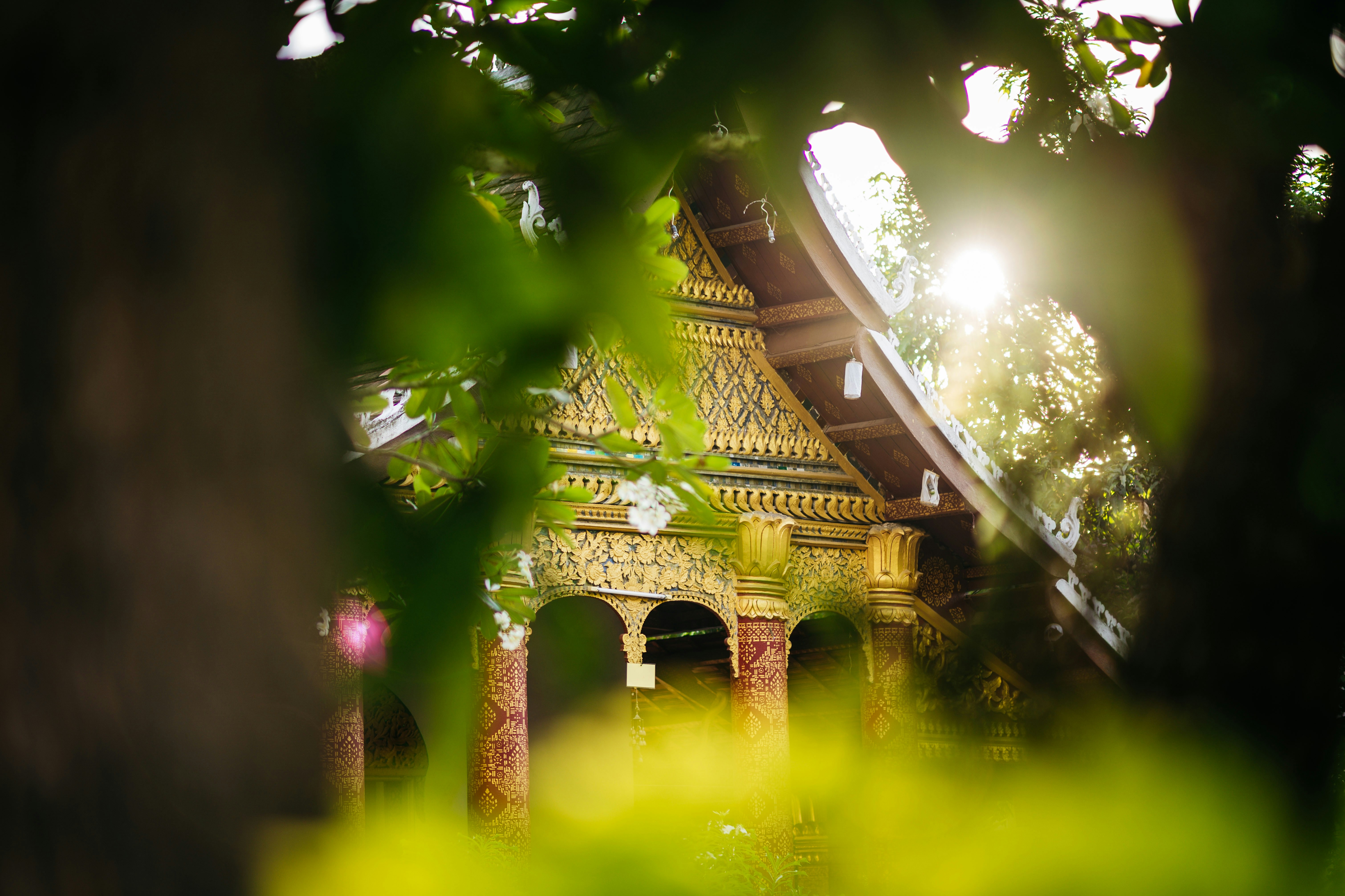 Photo by chuttersnap