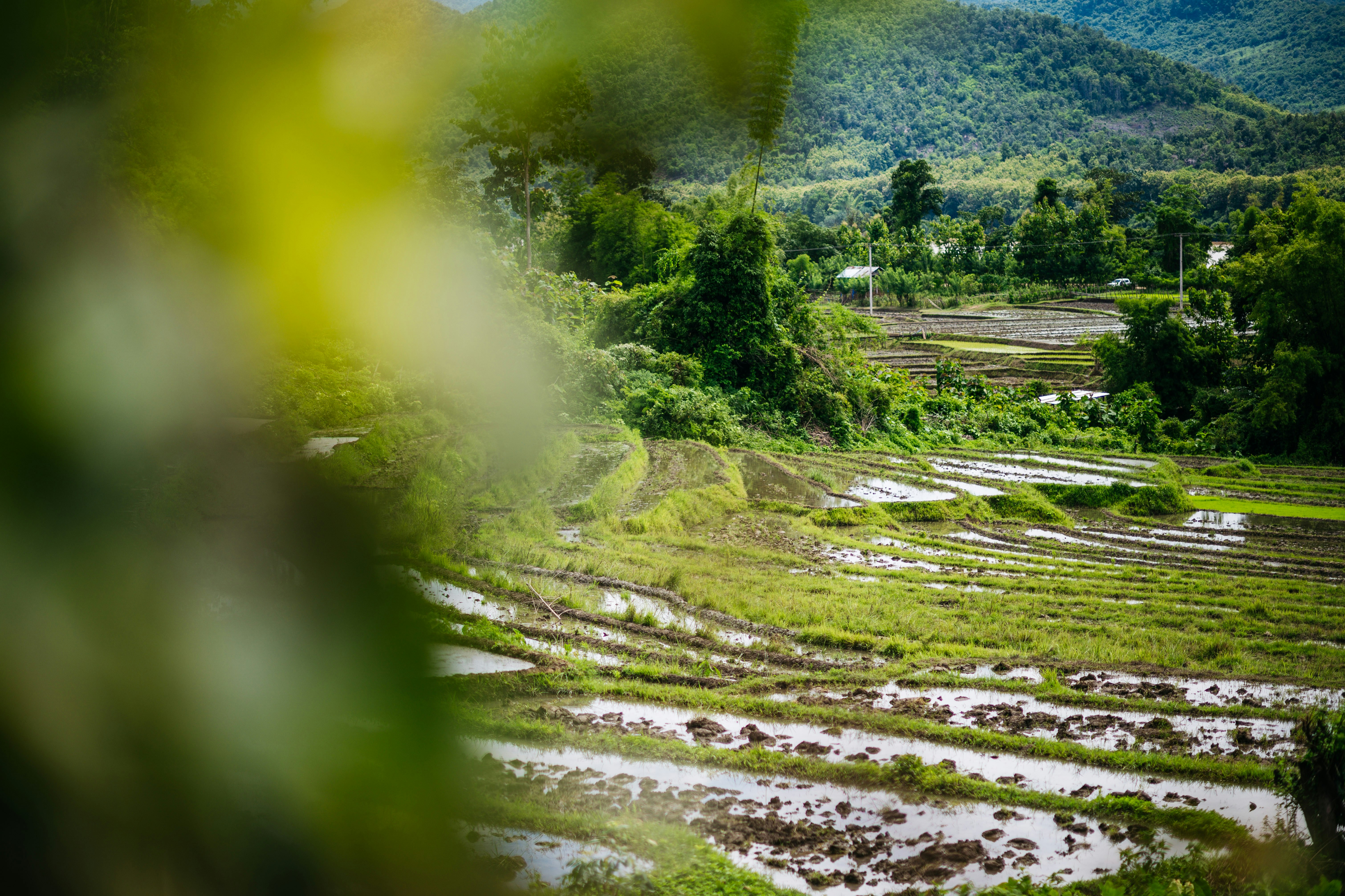 Photo by chuttersnap