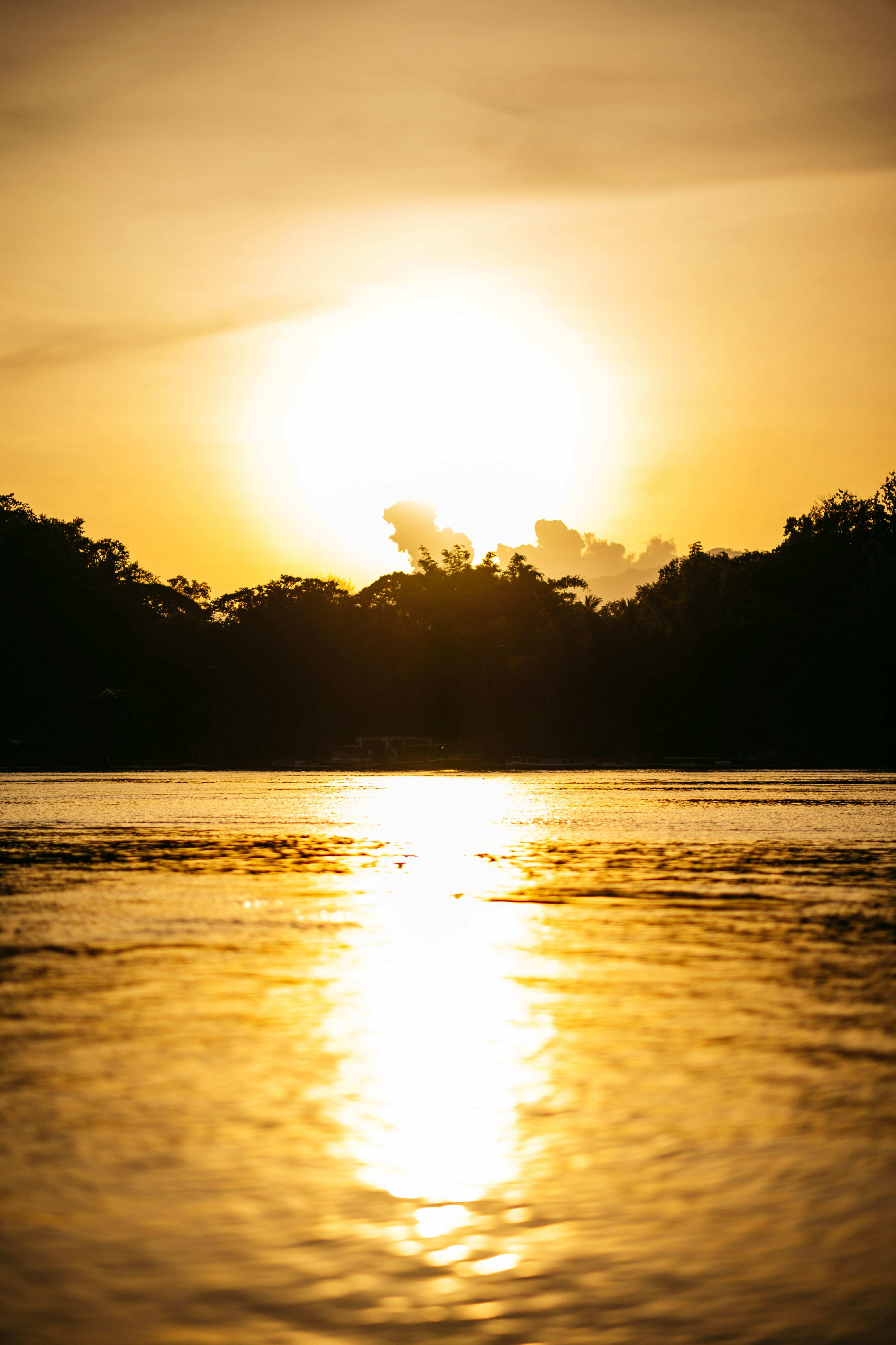 Photo by chuttersnap